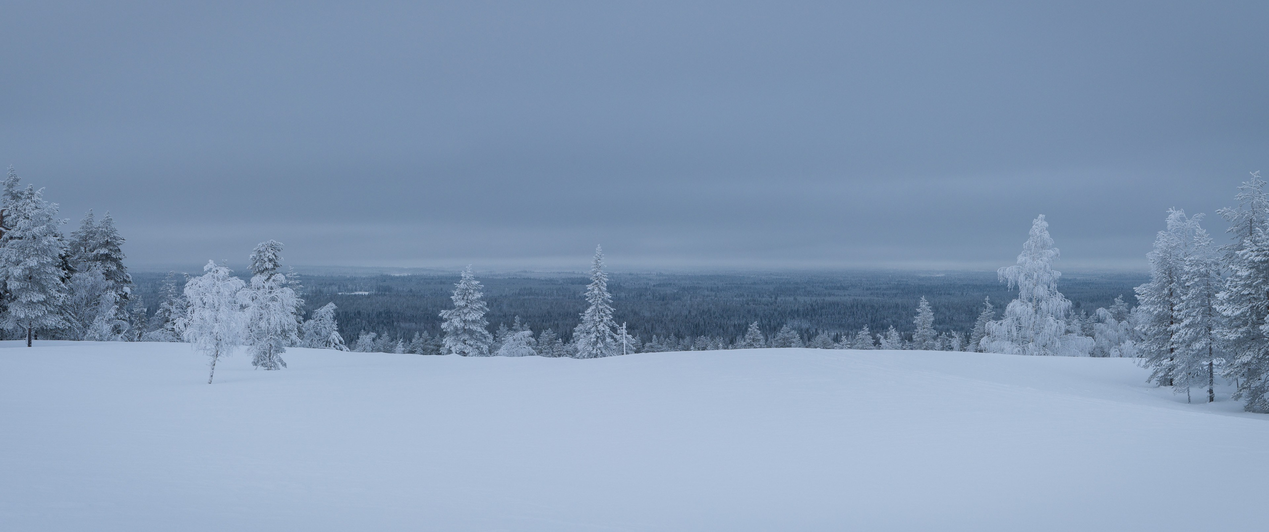 Зима. Северные Ночи