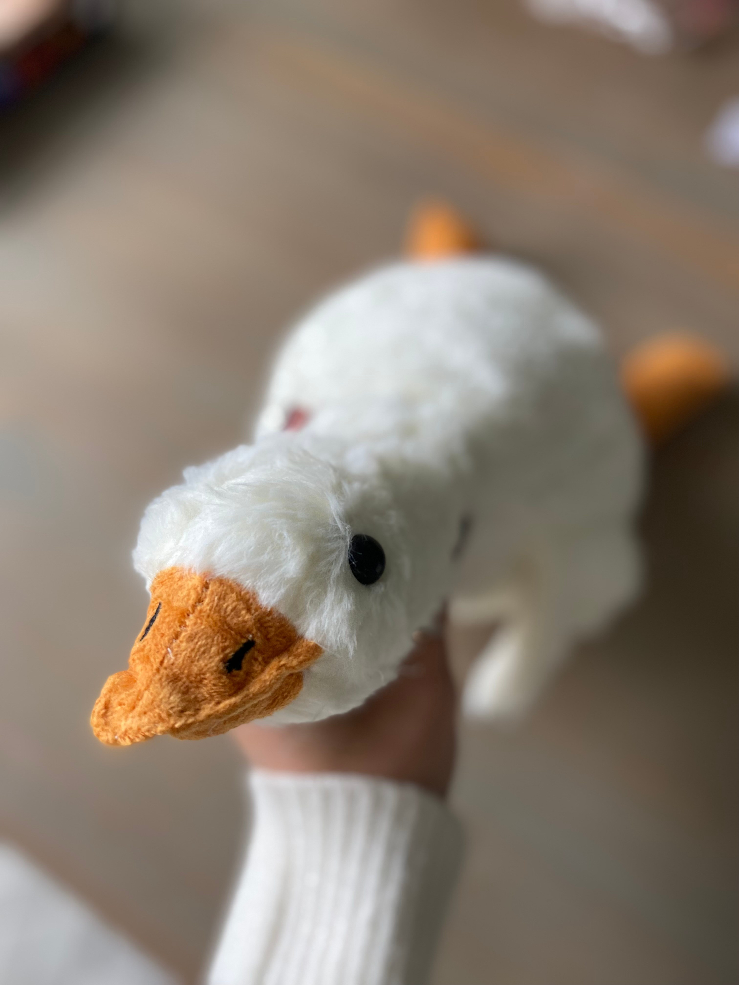 Реквизит. Фотограф новорождённых в Самаре