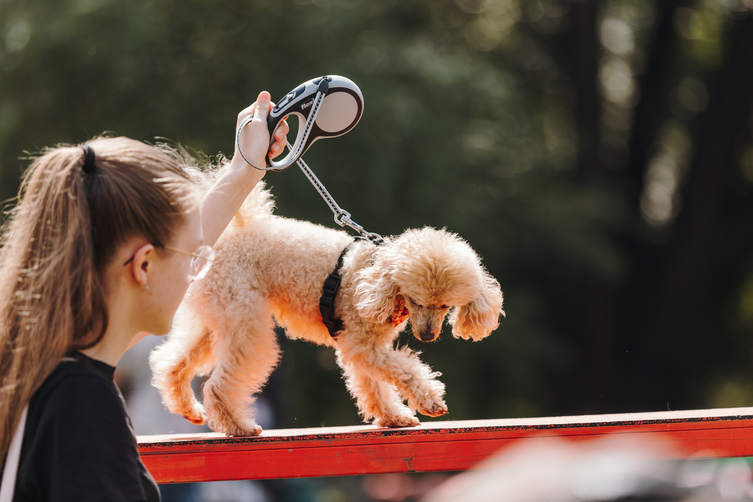 Petshop Sup day. Фотограф анималист Кристина Карпова, Москва