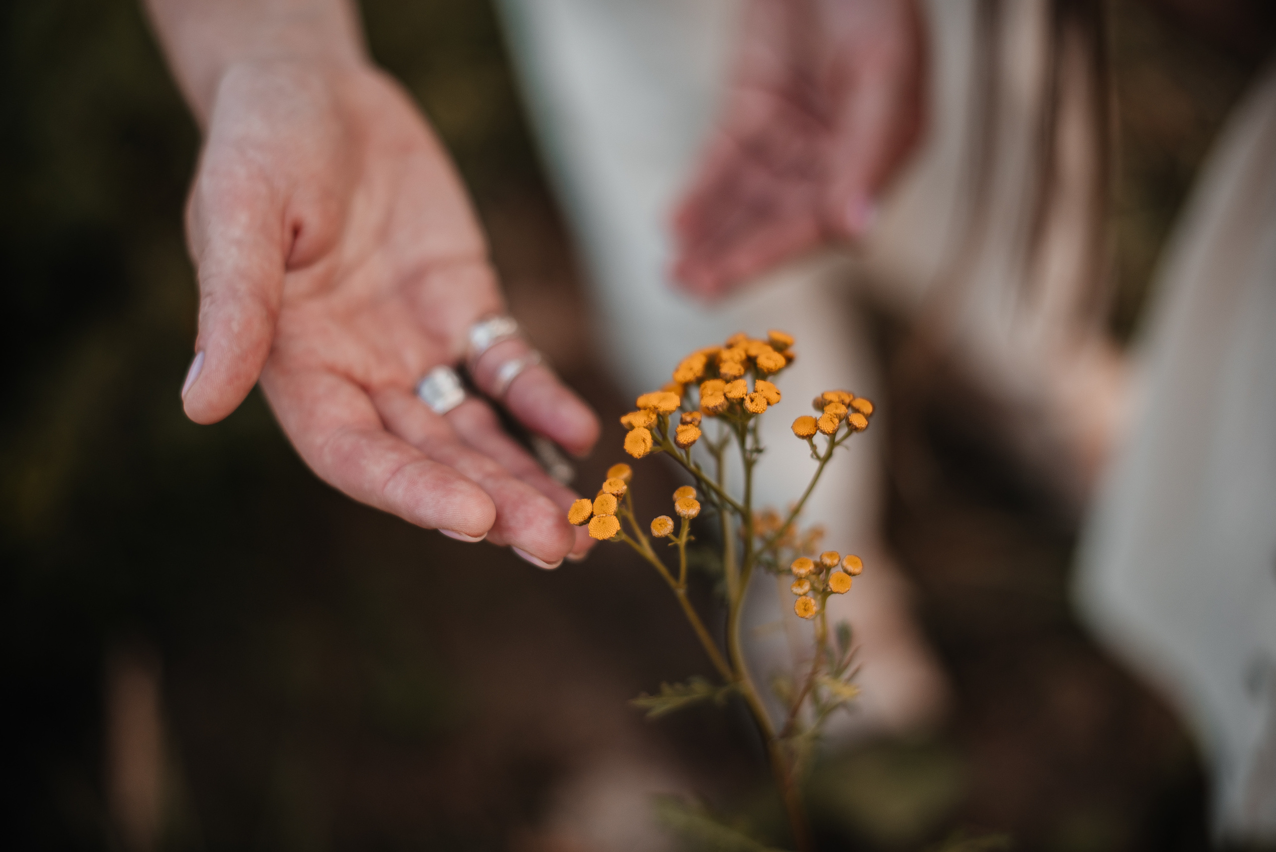 Семья. Свадебный и семейный фотограф в Белгороде