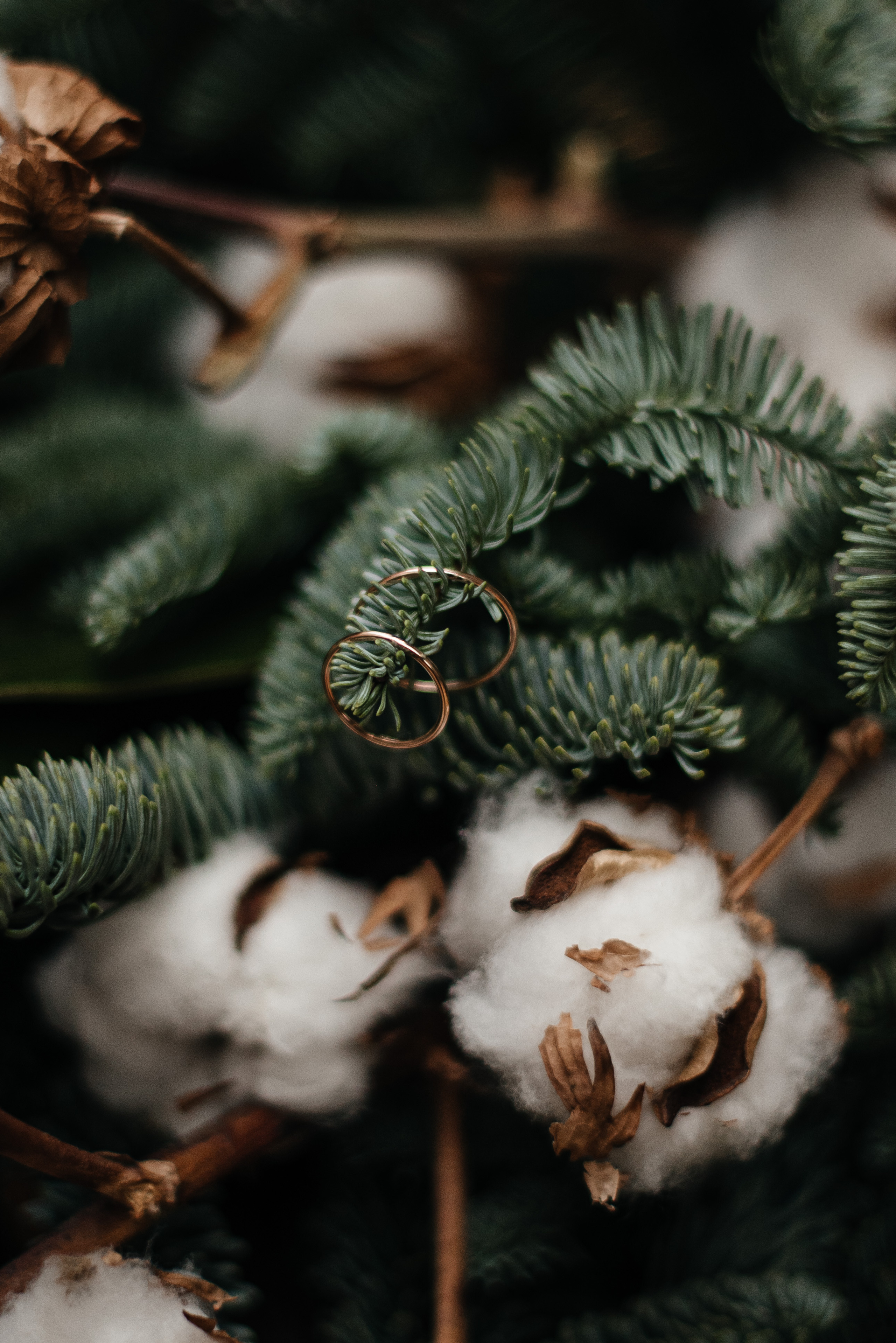 Сергей и Татьяна. Свадебный и семейный фотограф в Белгороде