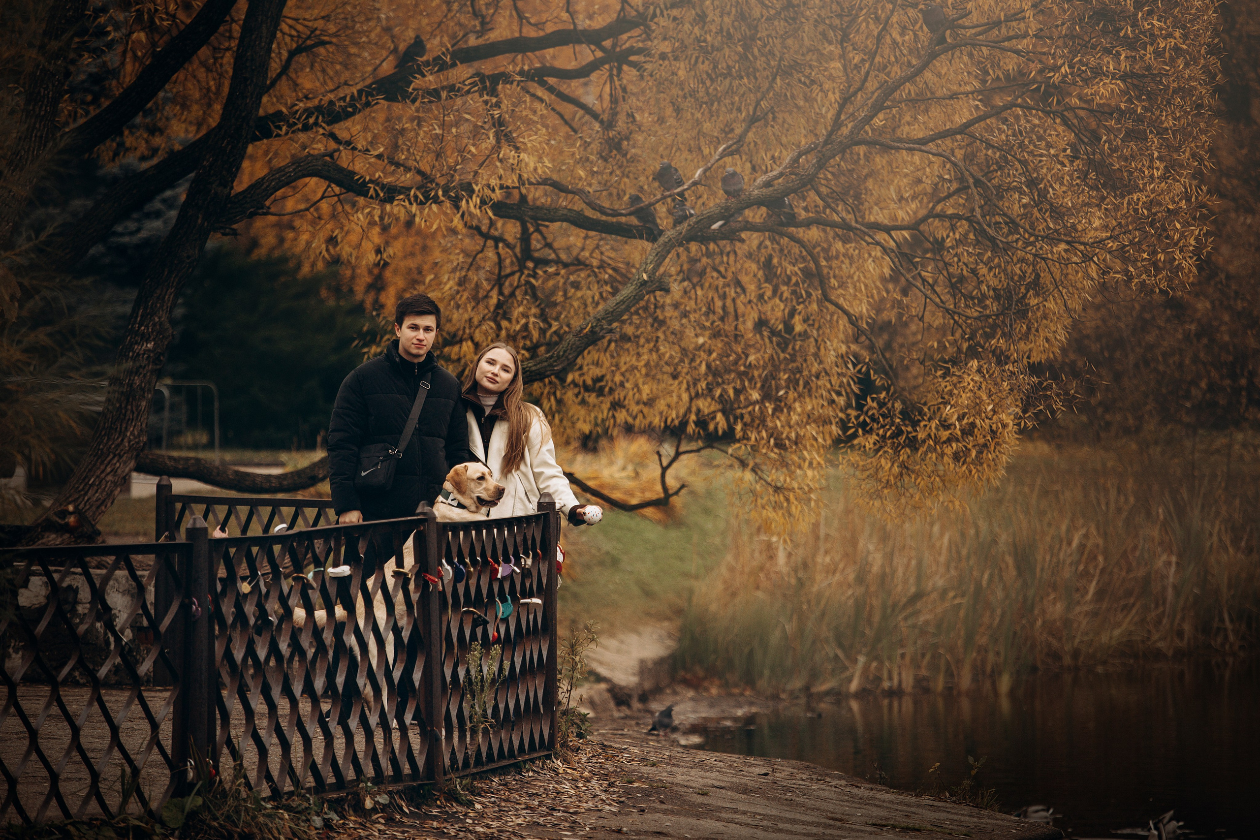 Шани и ее семья. Фотограф — Анималист | Санкт-Петербург