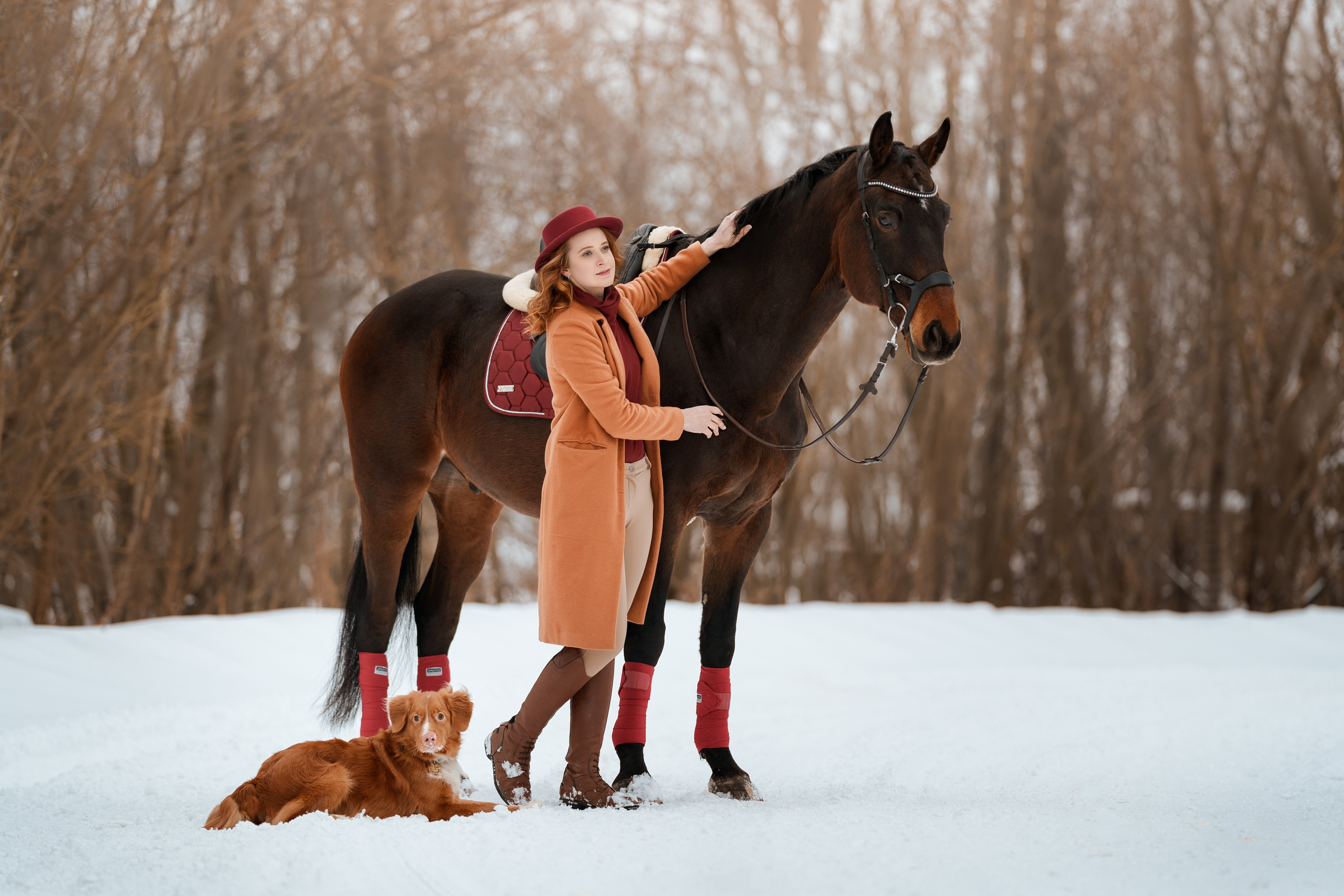 Фотосессии с лошадьми. Фотограф Артемьева Катерина|фотосессии с лошадьми