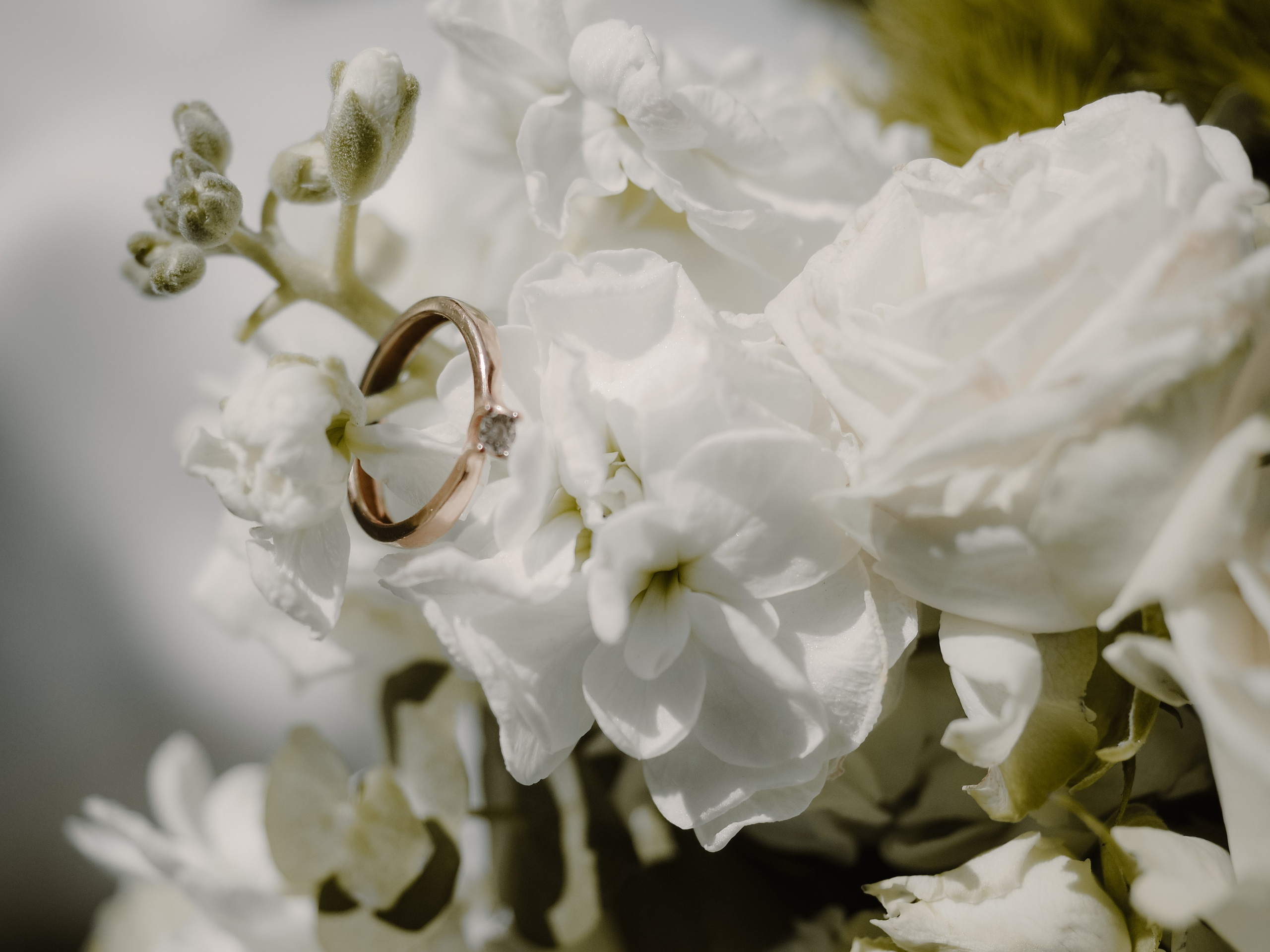 Татьяна и Илья. Фотограф Рязань. Семейный Свадебный фотограф