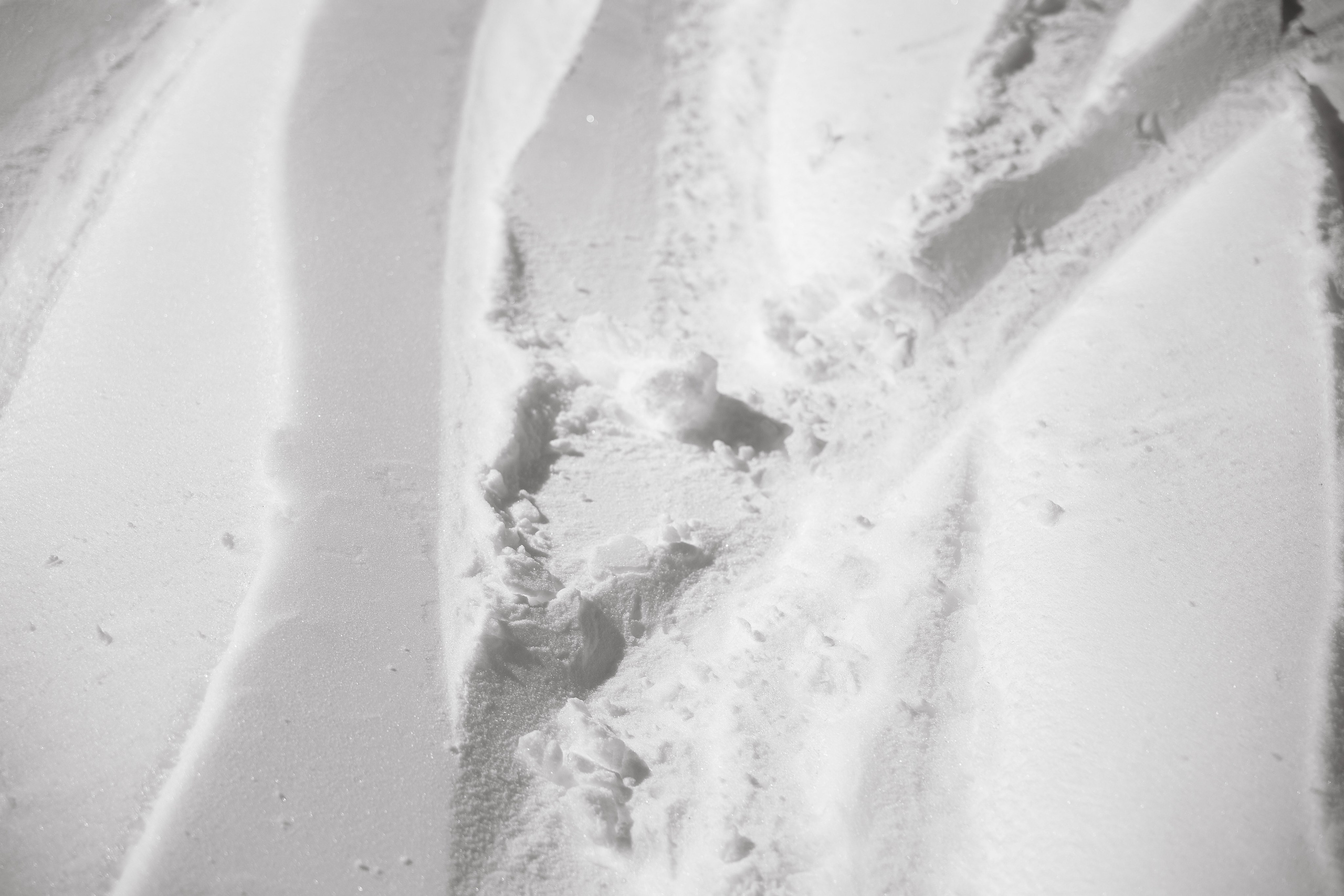 FROSED. Кто мы?