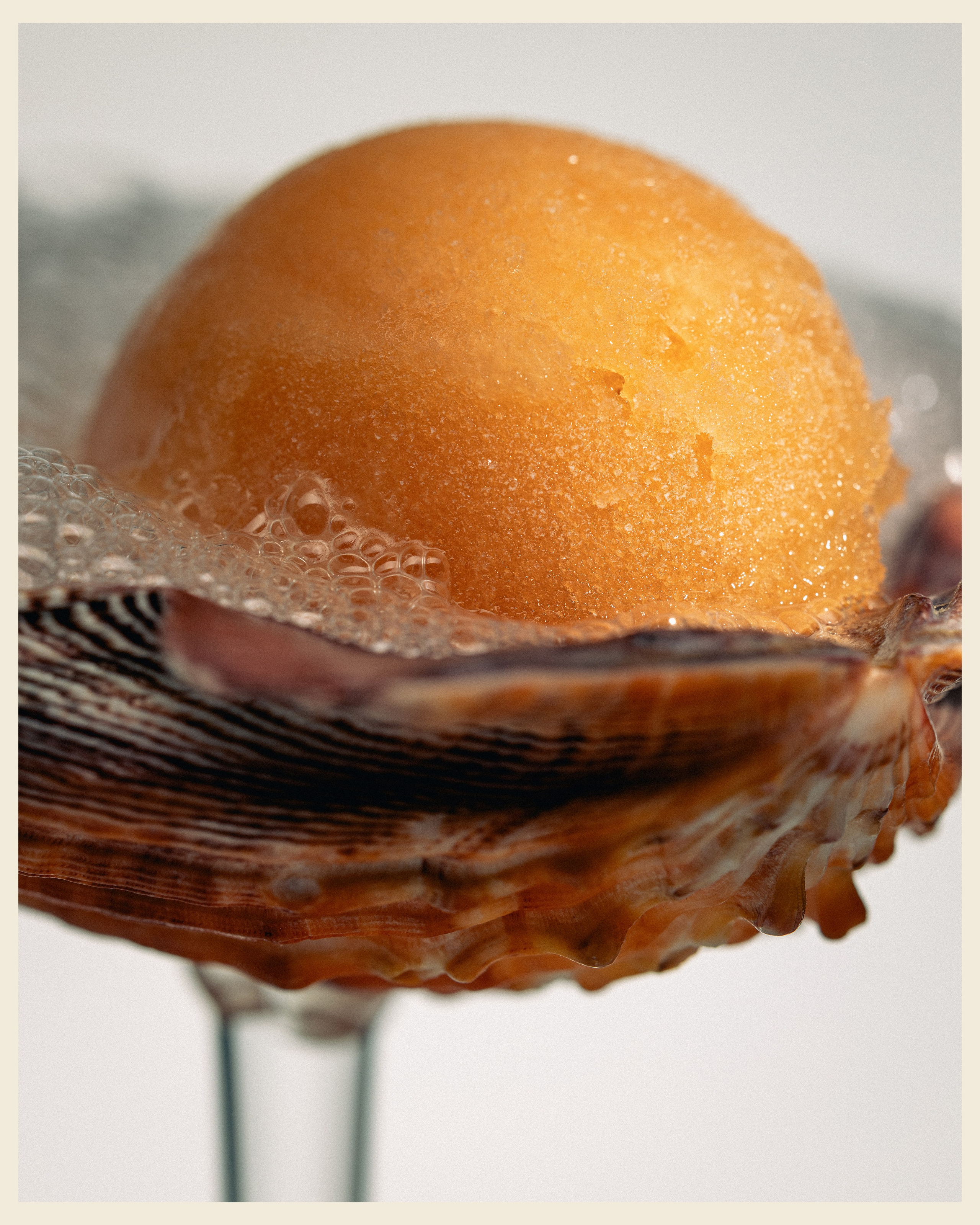 RIBAPILA x VANO. Ivan Petrov photographer