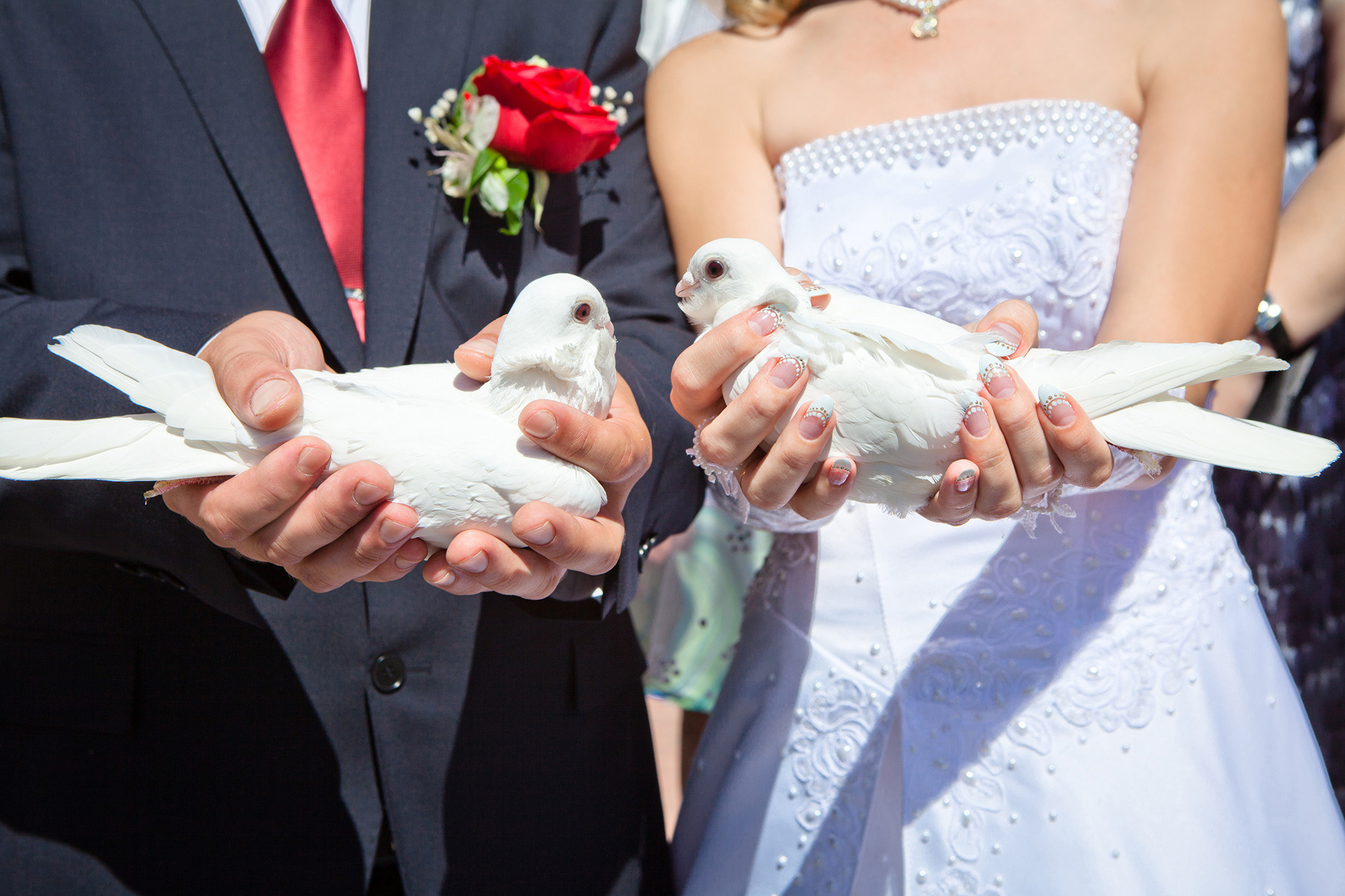 Свадебная фотосъёмка. Фотограф Зульфия Сабирова. Семейный детский фотограф Зульфия Сабирова Москва