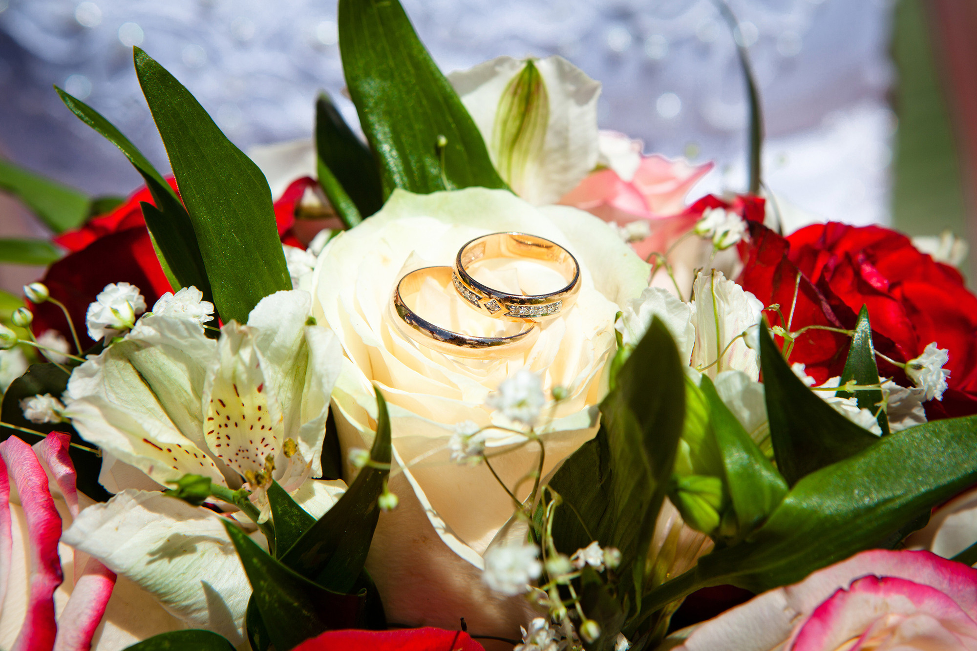 Свадебная фотосъёмка. Фотограф Зульфия Сабирова. Семейный детский фотограф Зульфия Сабирова Москва