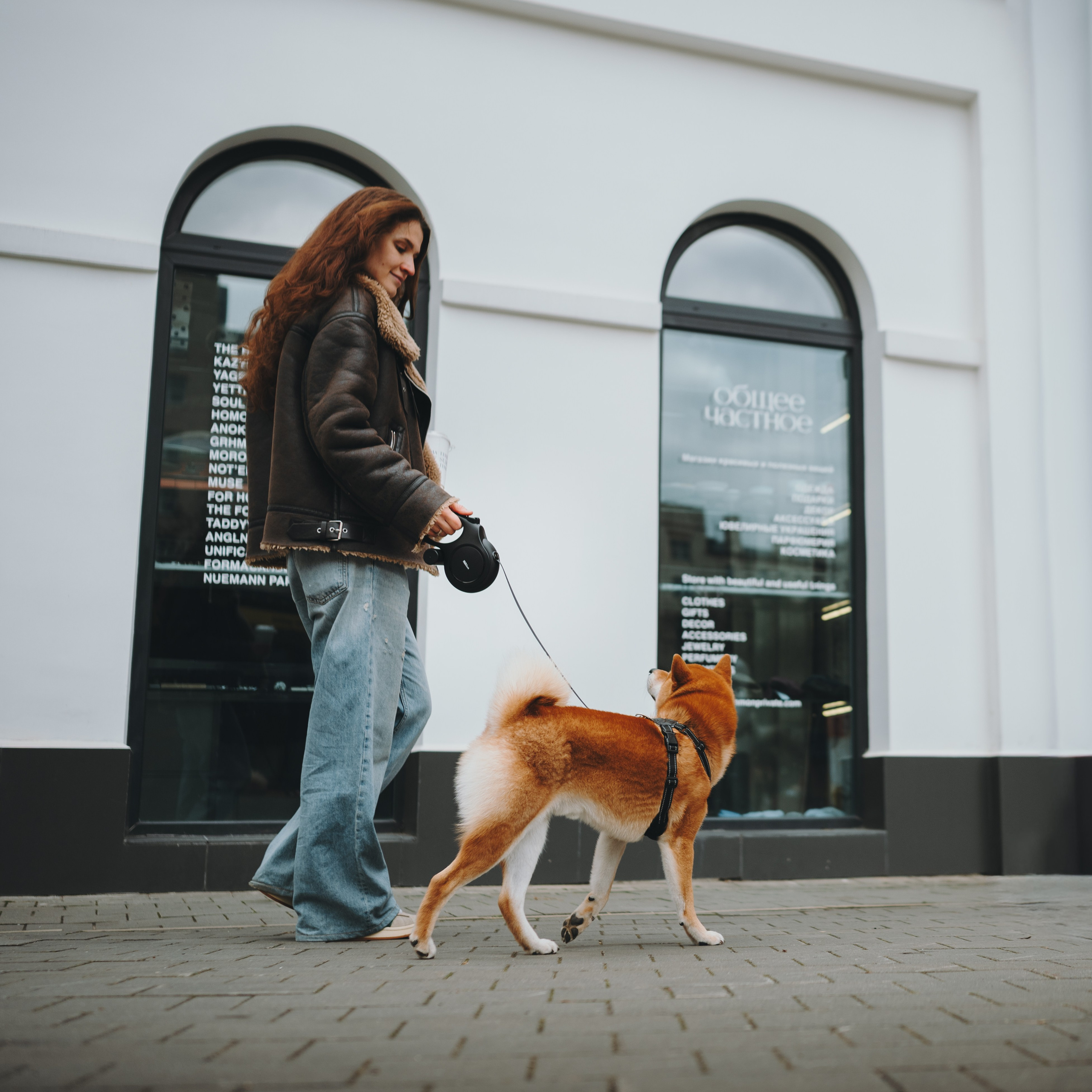 Pawsitive. Семейный фотограф анималист Ананьева Мария — Москва