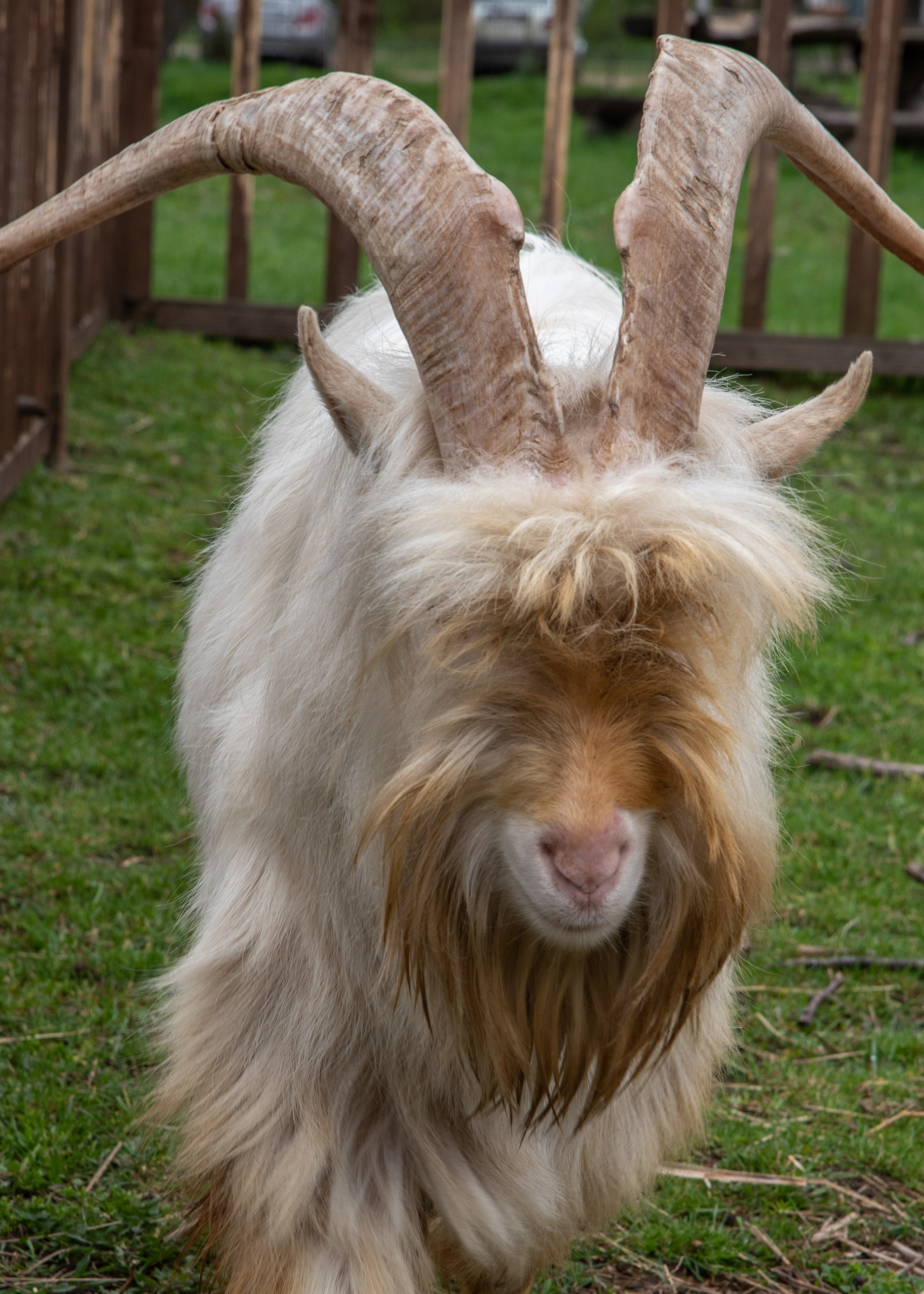 Калининград, Светлогорск. Фотограф Юлия Зимина