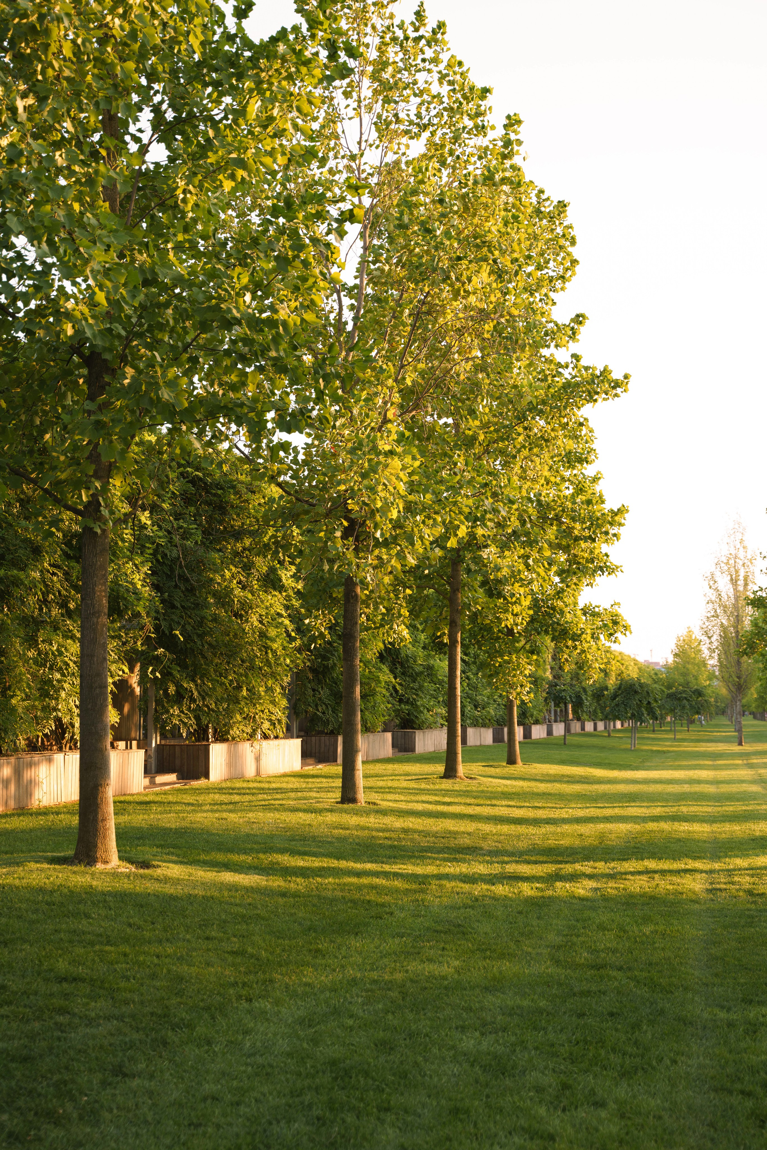 Родные люди. Свадебный фотограф в Краснодаре и Санкт-Петербурге Евгения Алексеева