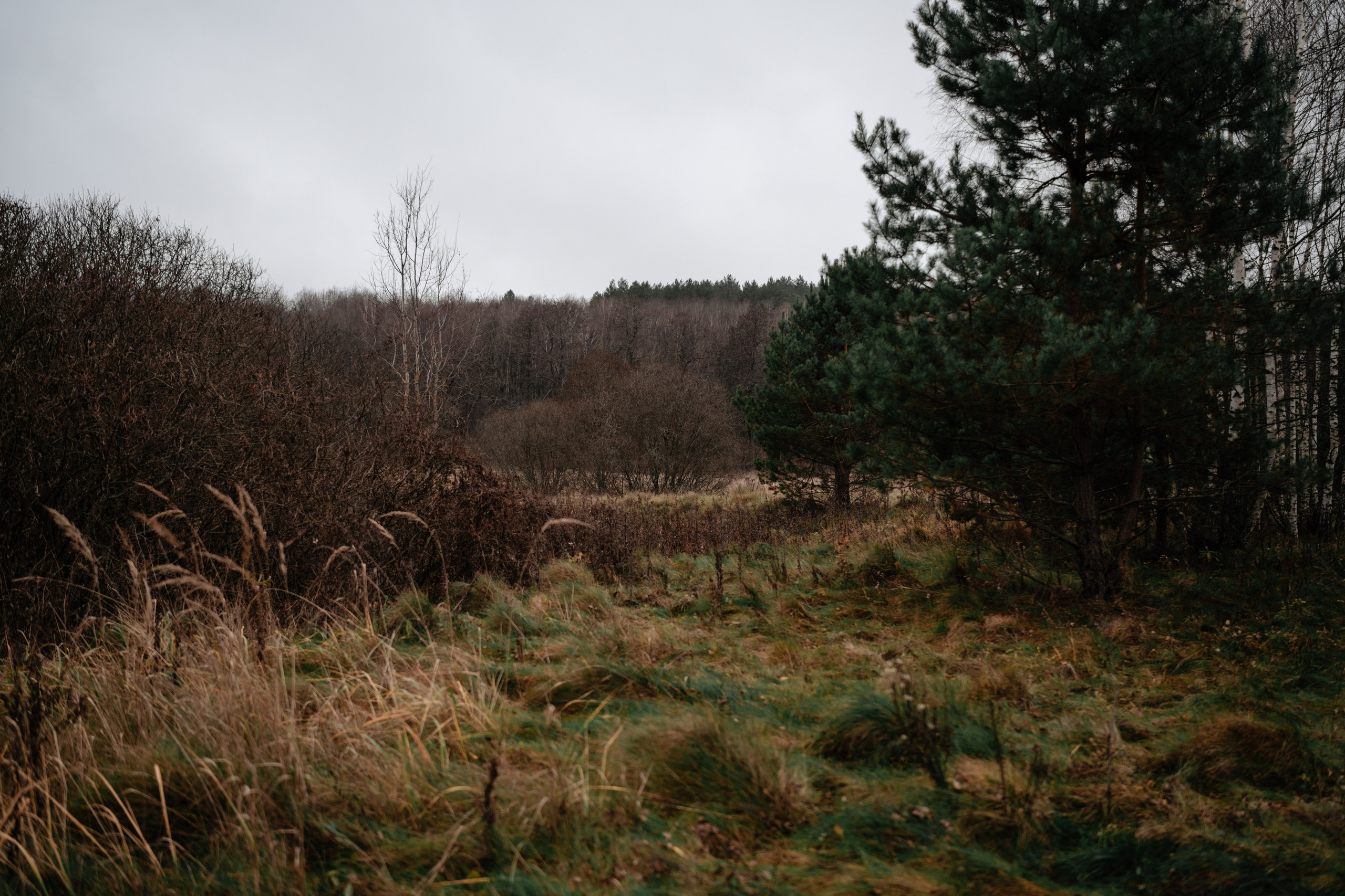 Старое место в Богимово. Vlad Trykov