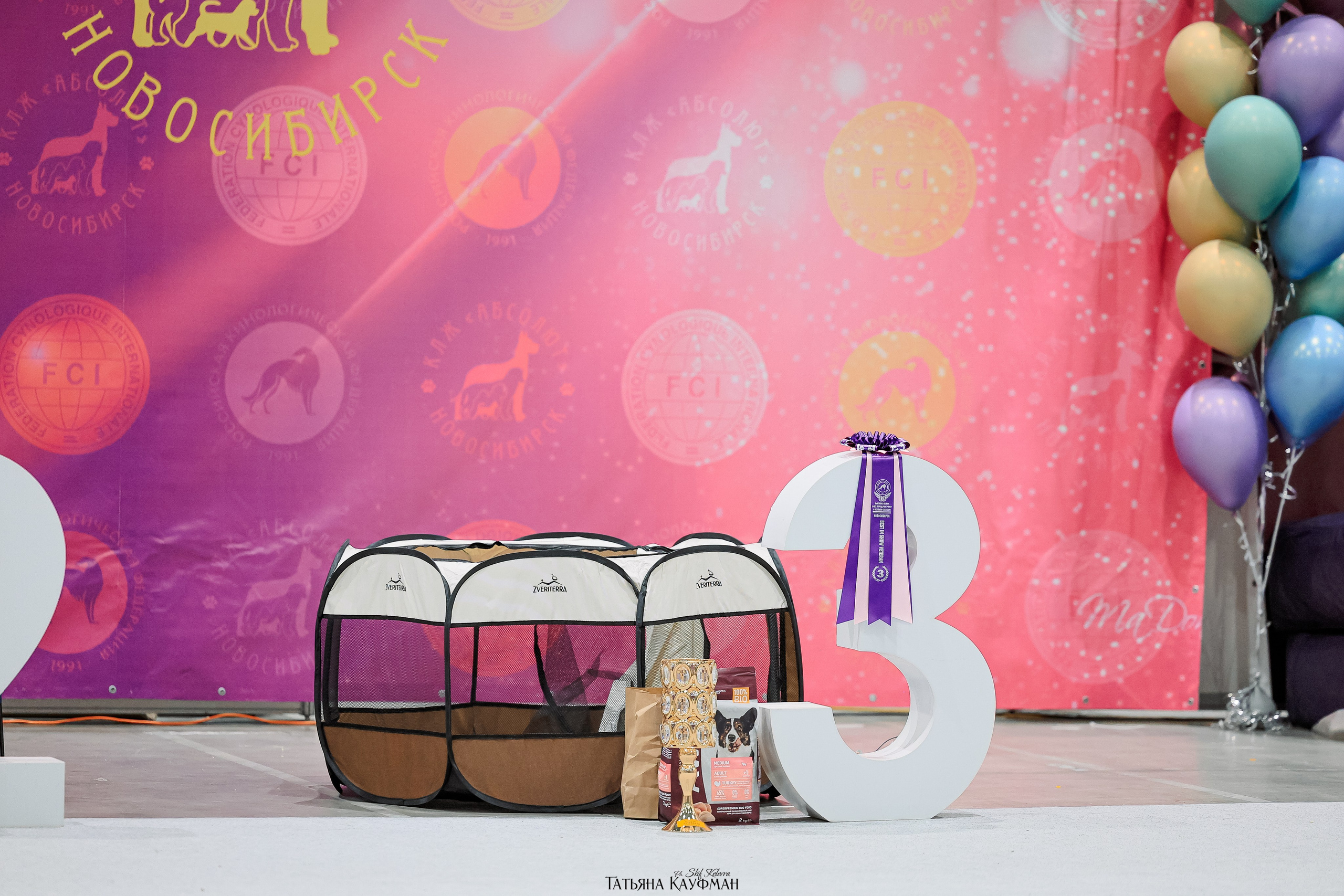 выставка собак в Новосибирске ABSOLUT WINNER-2026, Рейтинговая выставка собак