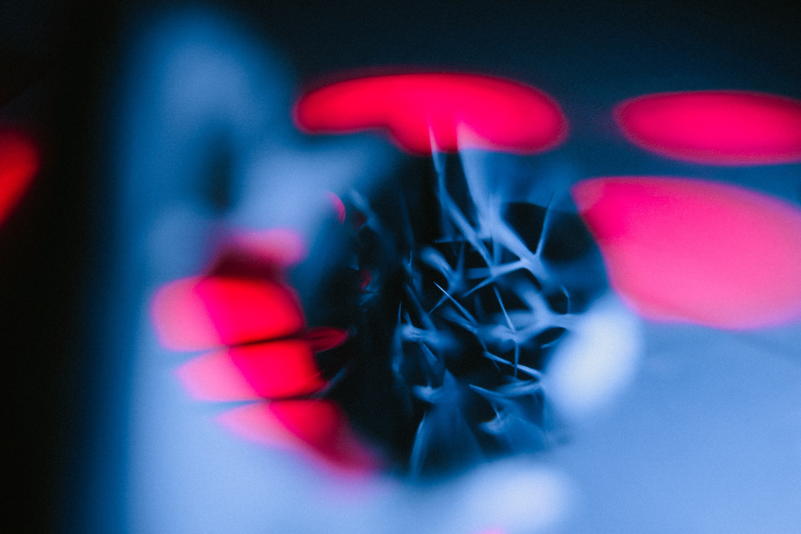 Вдохновение. Ph___tina