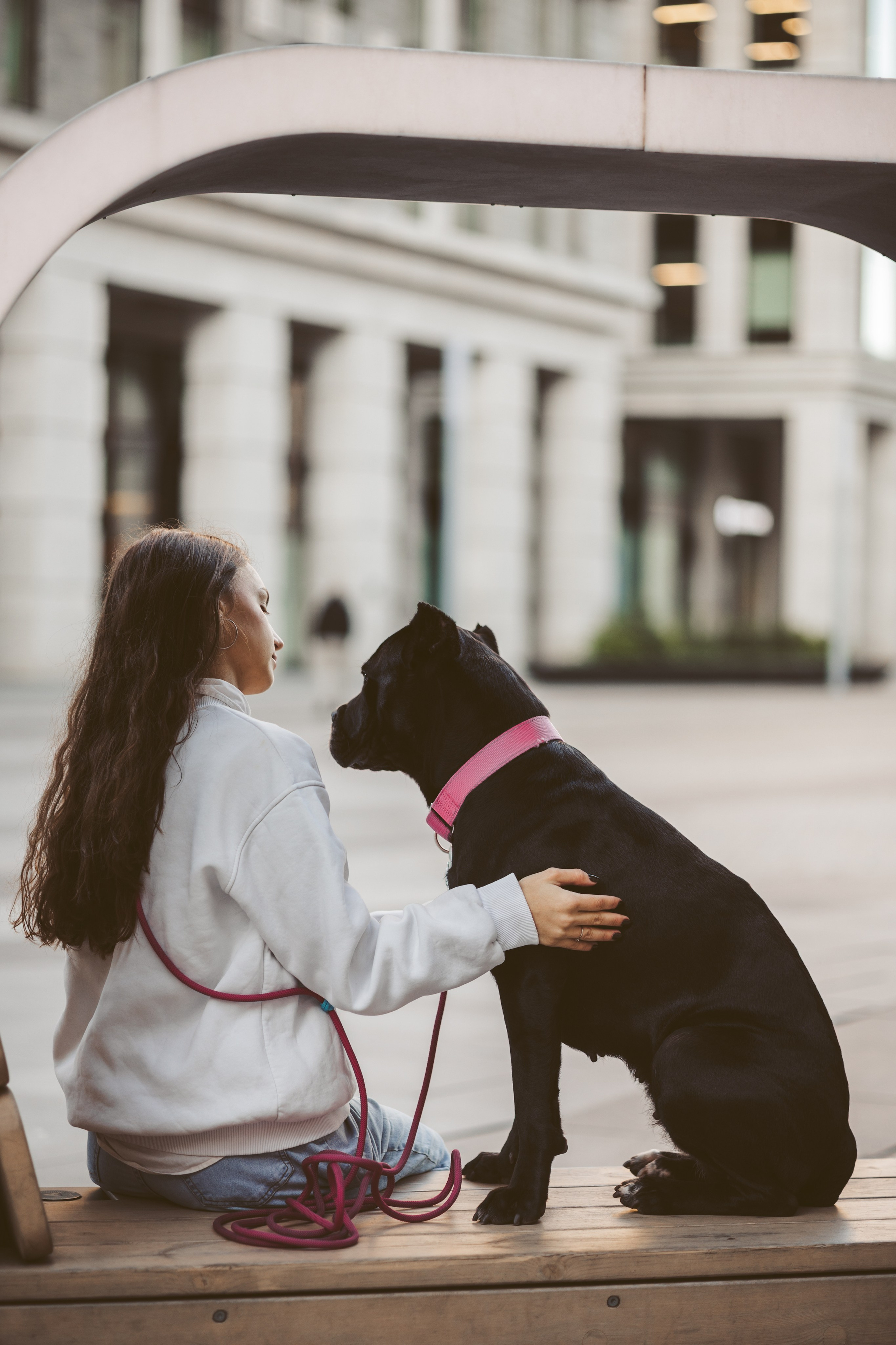 Ангелина и Вива. Фотограф-анималист Алина Яхонт