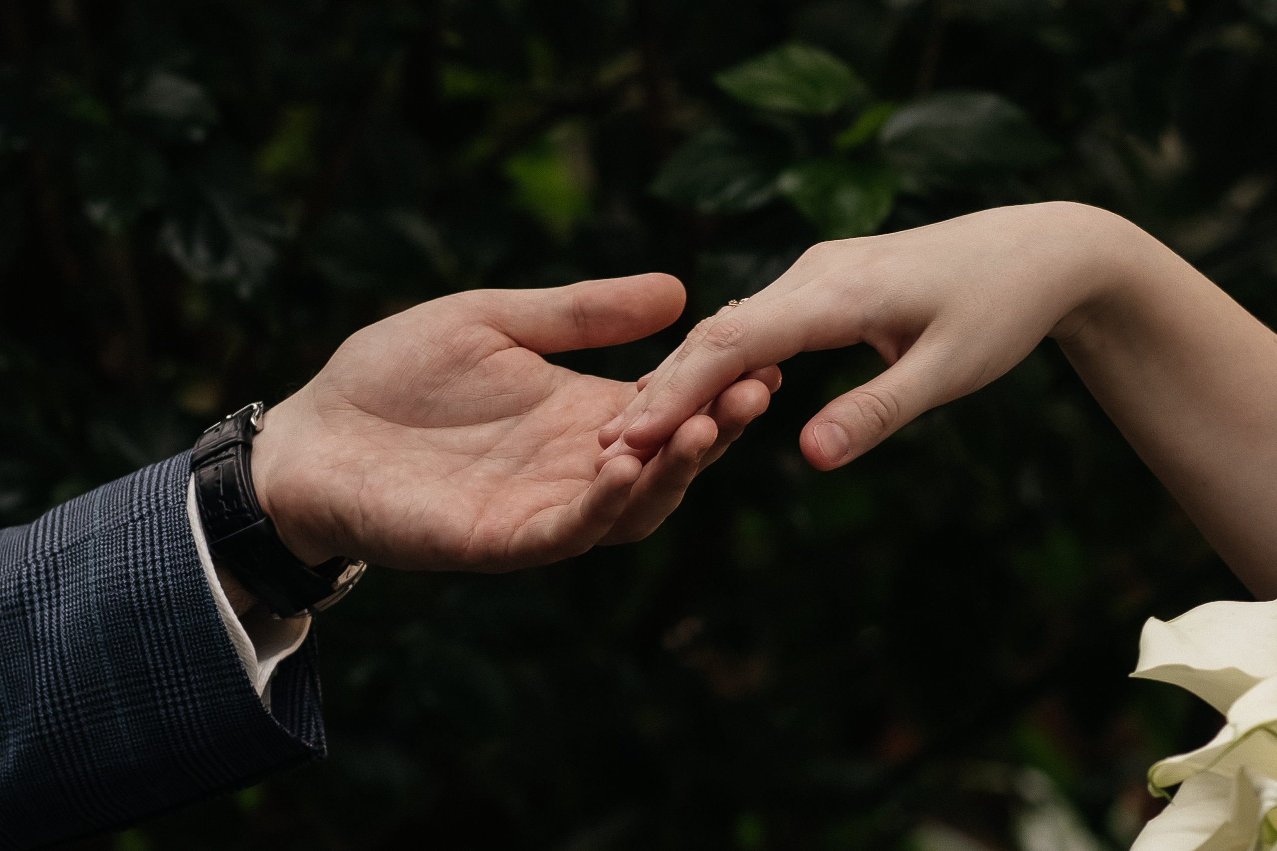 Артем и Карина. Свадебный и семейный фотограф в Воронеже Кирсанова Наталья