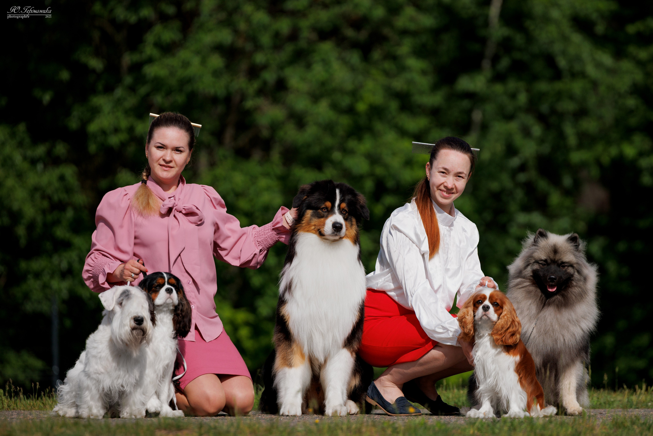 Минск 31.05-1.06.2025. Фотограф-анималист Юлия Германика