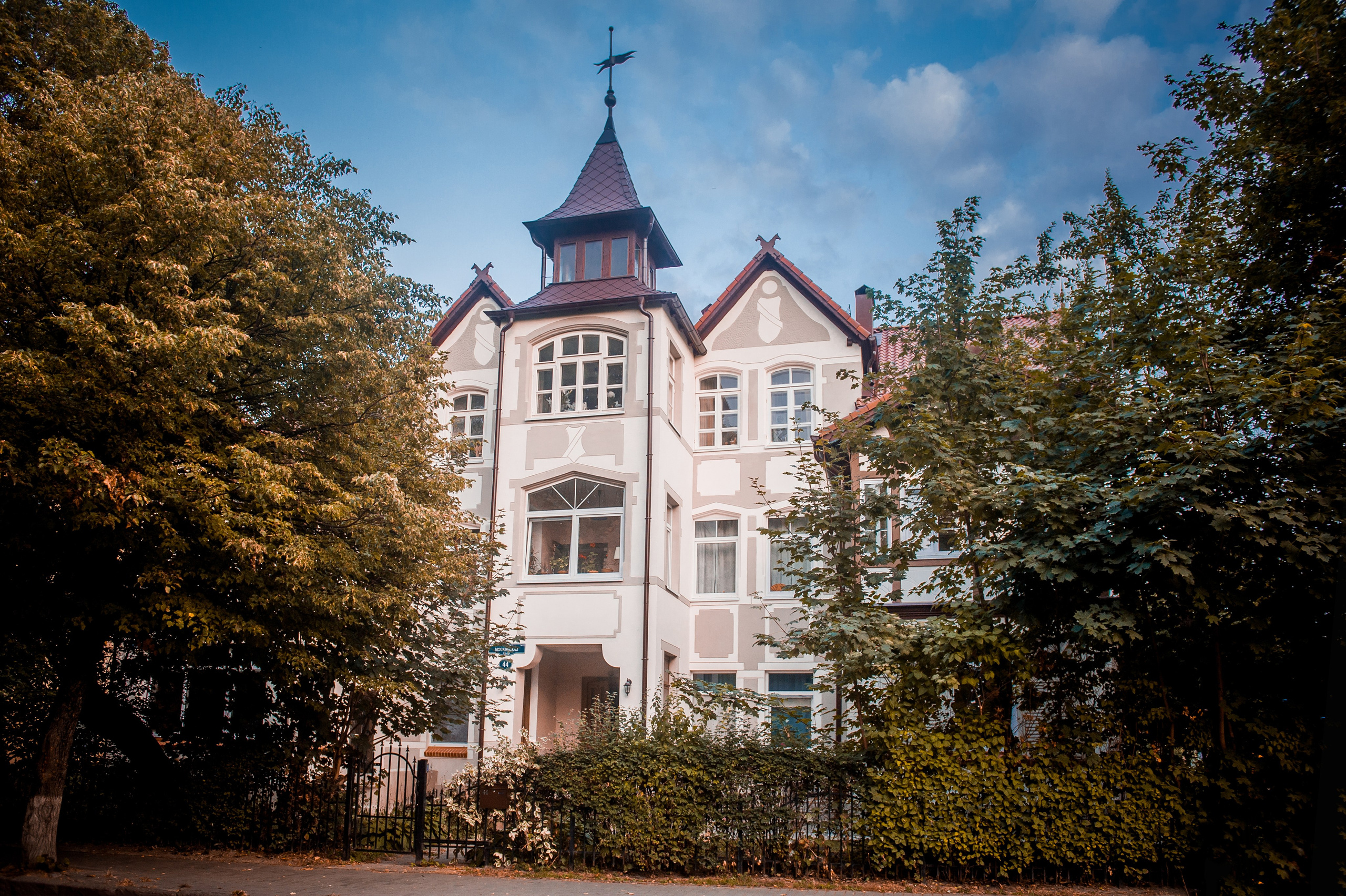 НЕДВИЖКА. Фотограф Вера Демидкова