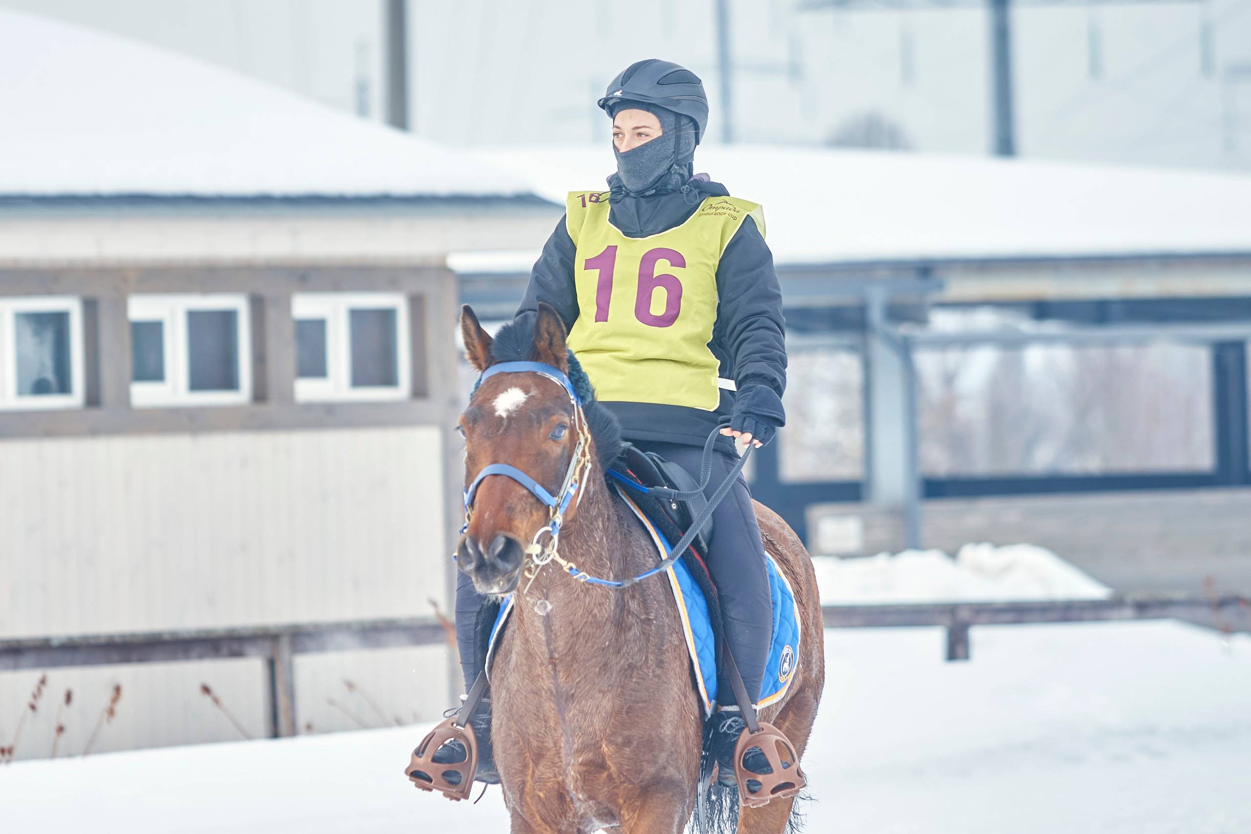 HORSE RACING. Фотограф Наталья Леонова