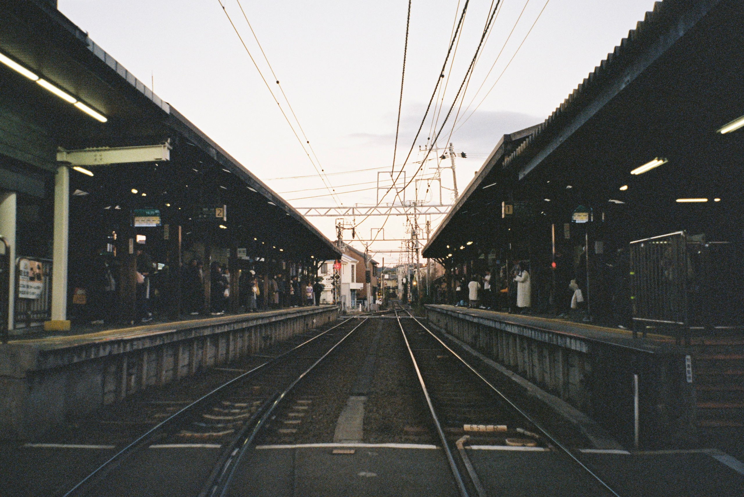 Пленка. Фотограф Алина Диева Москва | Токио