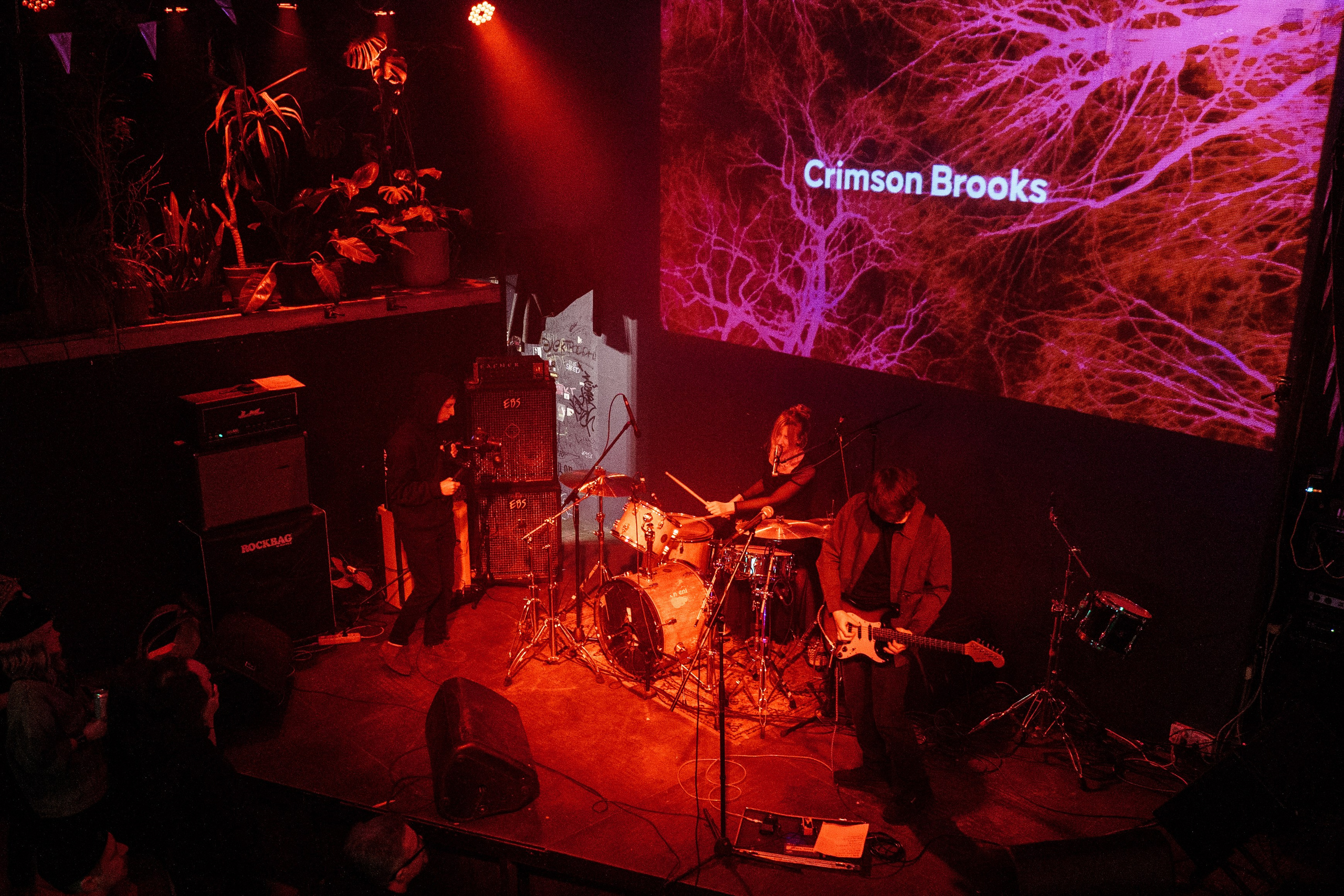 Inside the Rain|Ласточка. Концертный и репортажный фотограф в Санкт-Петербурге Слава Пахомов