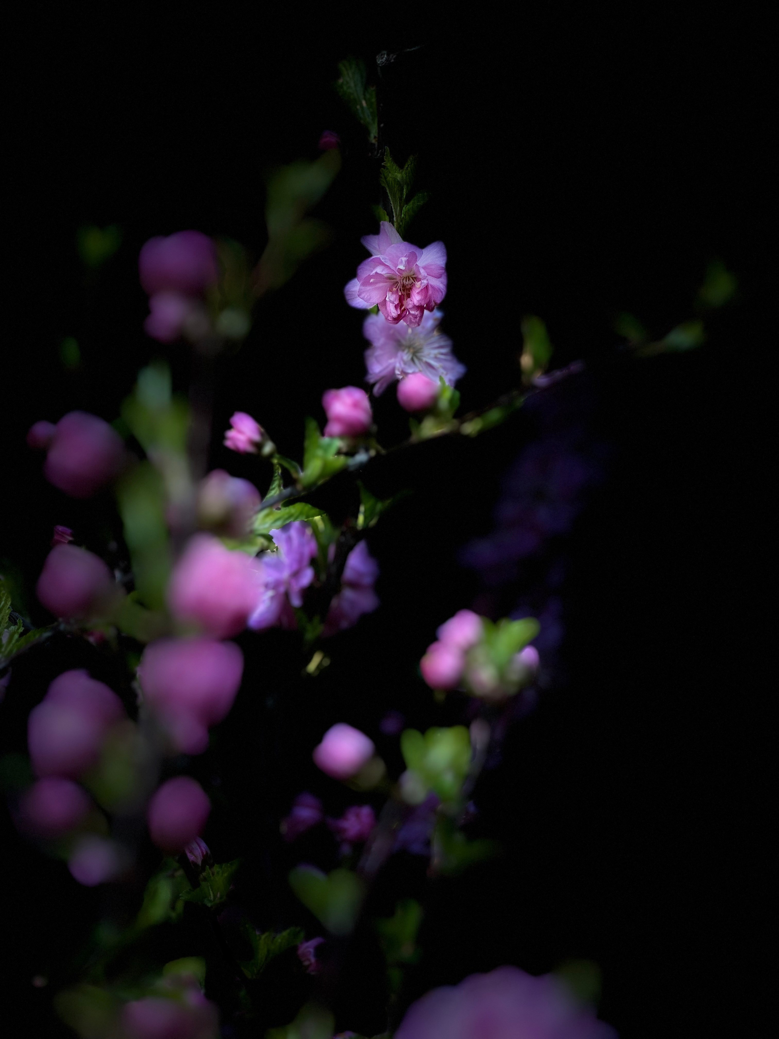 2024. Тащилин Сергей. Фотографии. Жизнь. Хобби