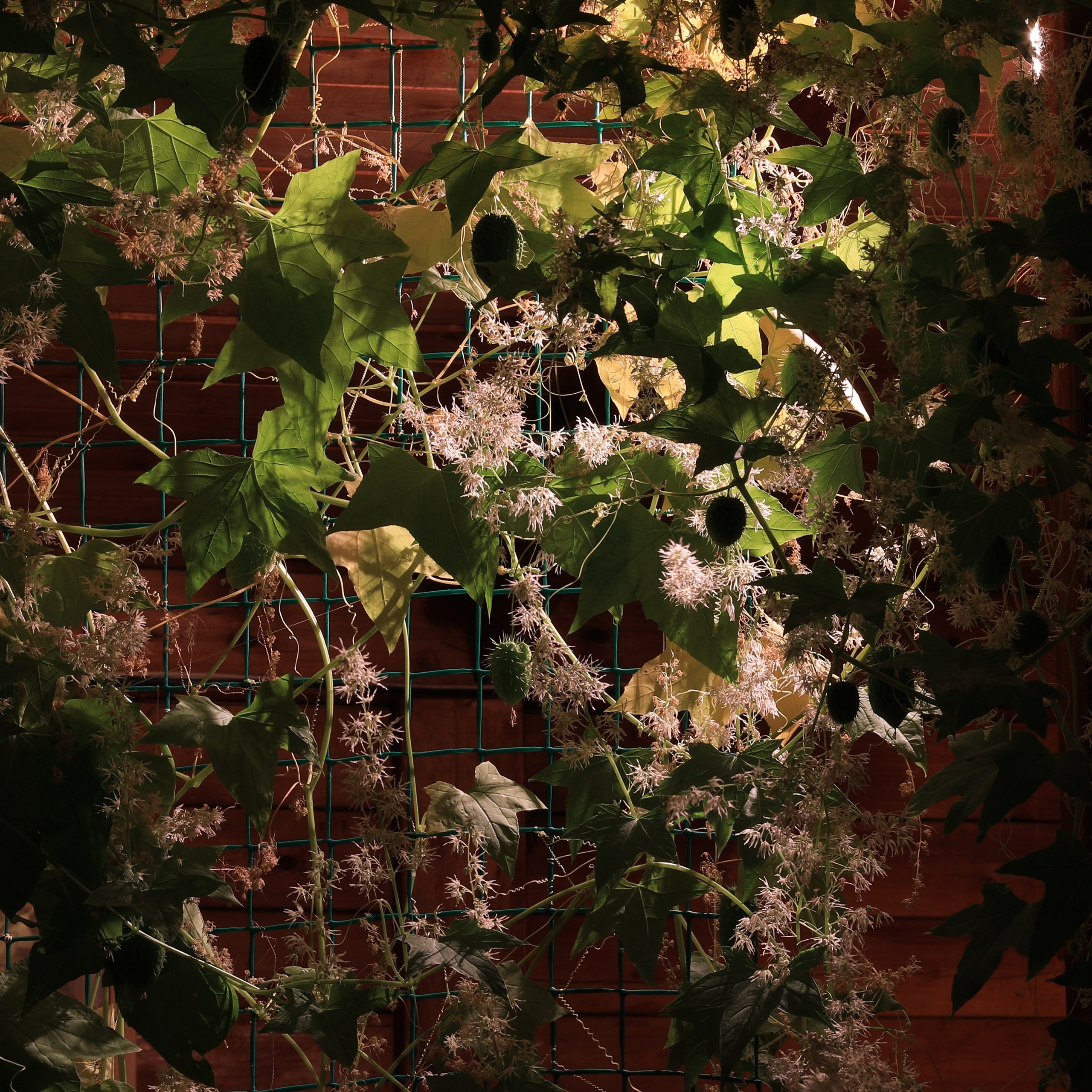 2020. Тащилин Сергей. Фотографии. Жизнь. Хобби