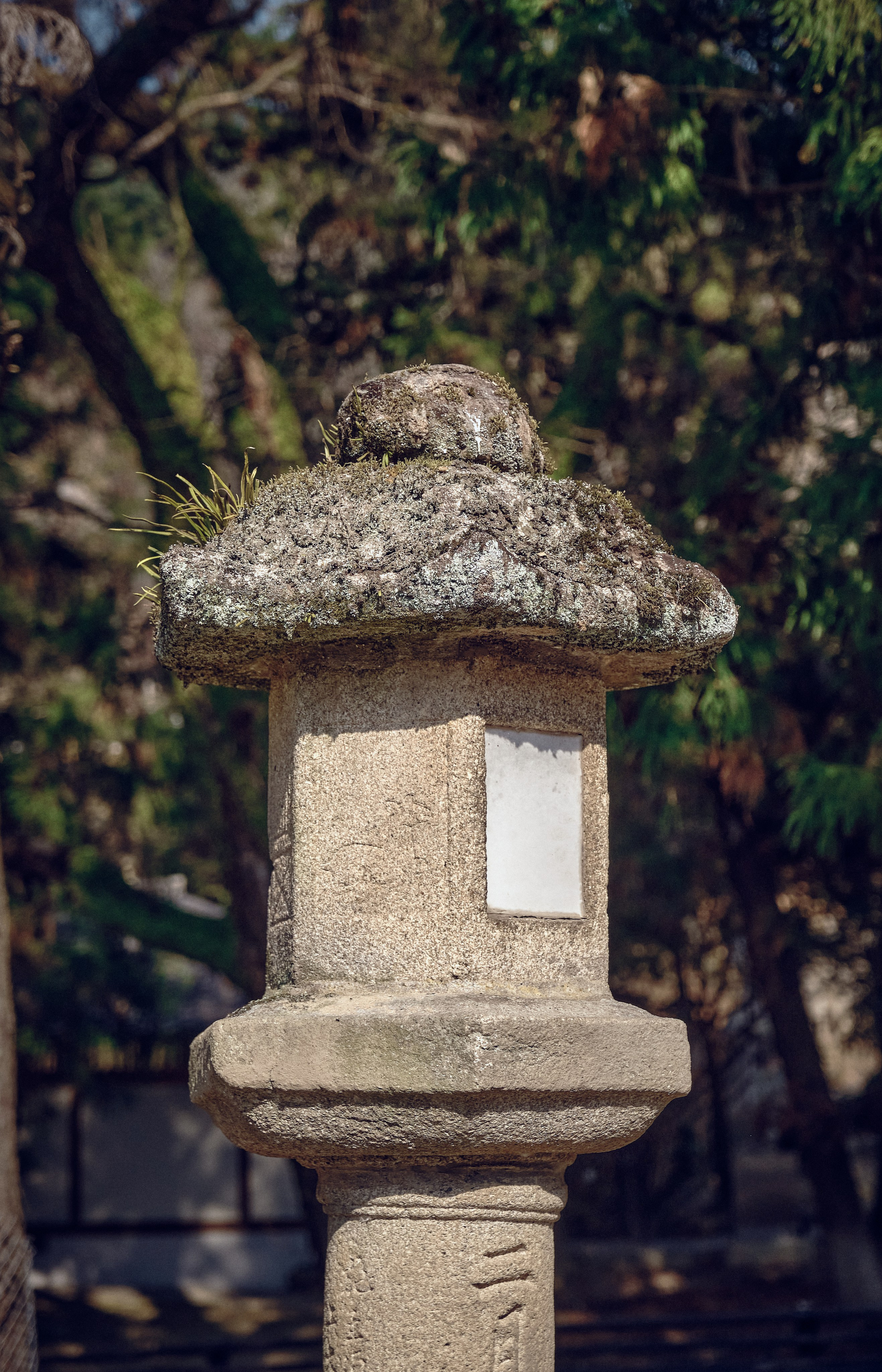 Japan / Osaka≫Kyoto≫Tokyo. Aleksandr Kobtsev