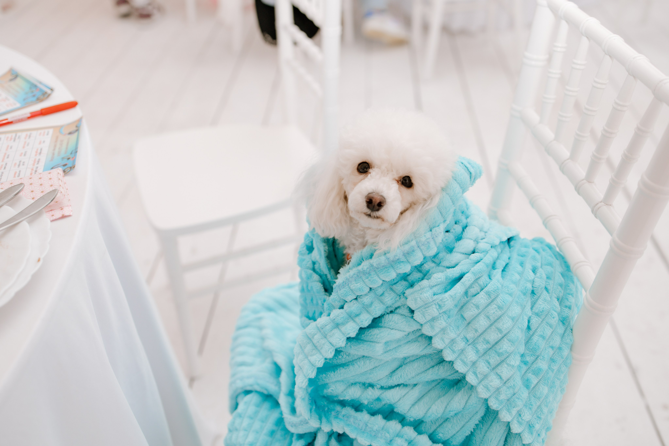 РЕПОРТАЖ. АННА ТРУНОВА | ФОТОГРАФ ЗВЁЗД