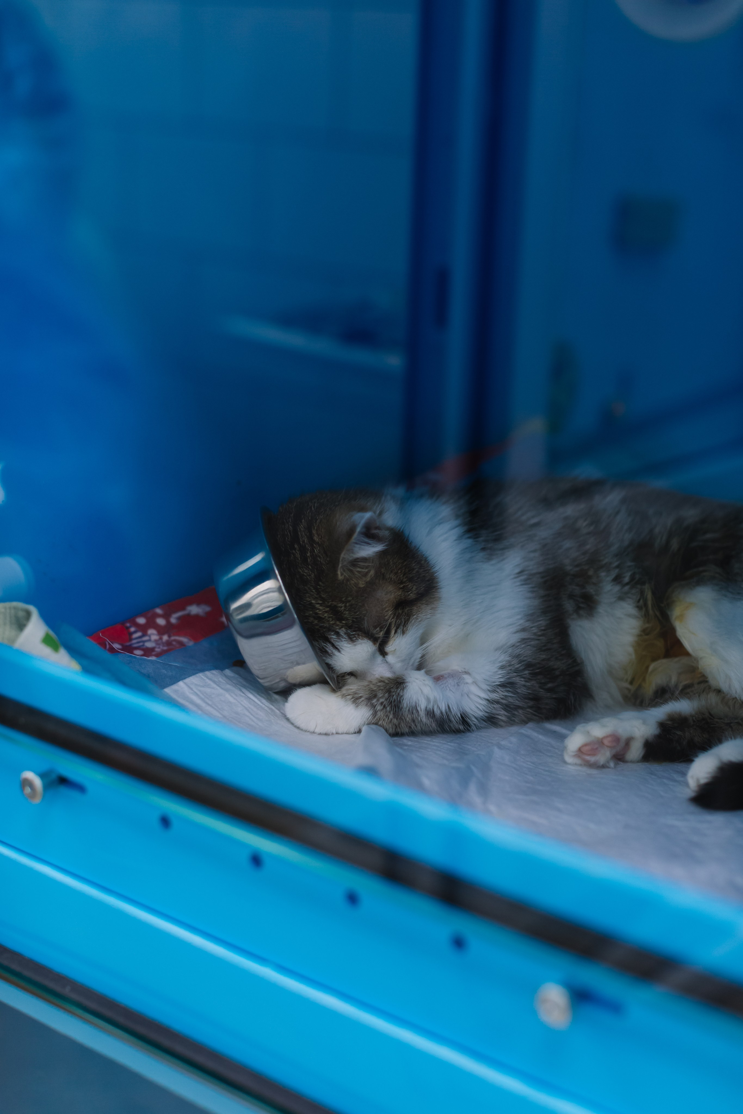 алёна малахова фотограф новосибирск семейный детский домашняя фотосессия в новосибирске день рождения репортажная съёмка фотосессия с лошадьми на конюшне деревня алтай  на природе фотосессия в детском саду мама и сын предложение руки и сердца идея  помолвка фотосессия берег закат детский день рождения годик торт аниматор лофт игровая продолжение следует prodoljenie_sleduet_  корпоратив тимбилдинг первоклашка линейка  контент  бизнес портрет оперный новат франция берет весна девушка
