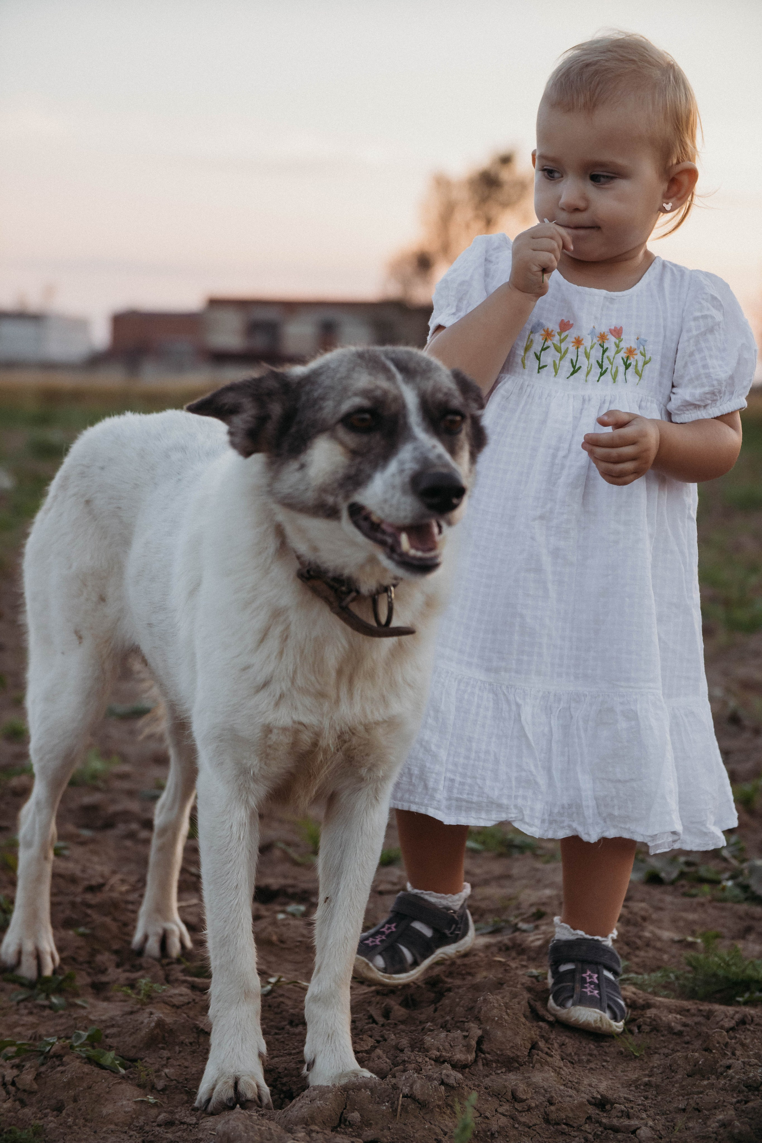 Дети. Фотограф Ступино, Фотограф Домодедово, Фотограф Москва