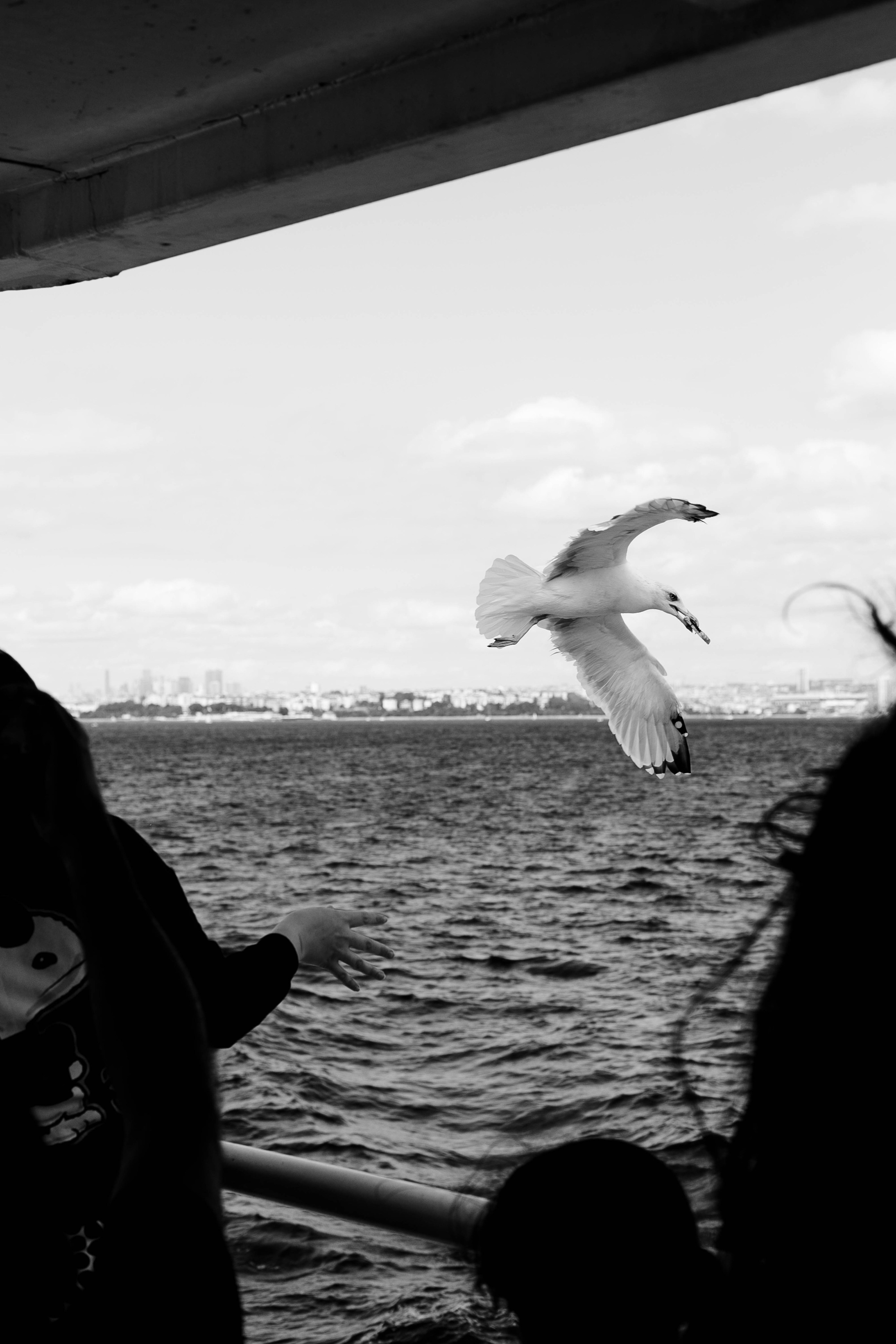 Istanbul. Katerina Spekhova