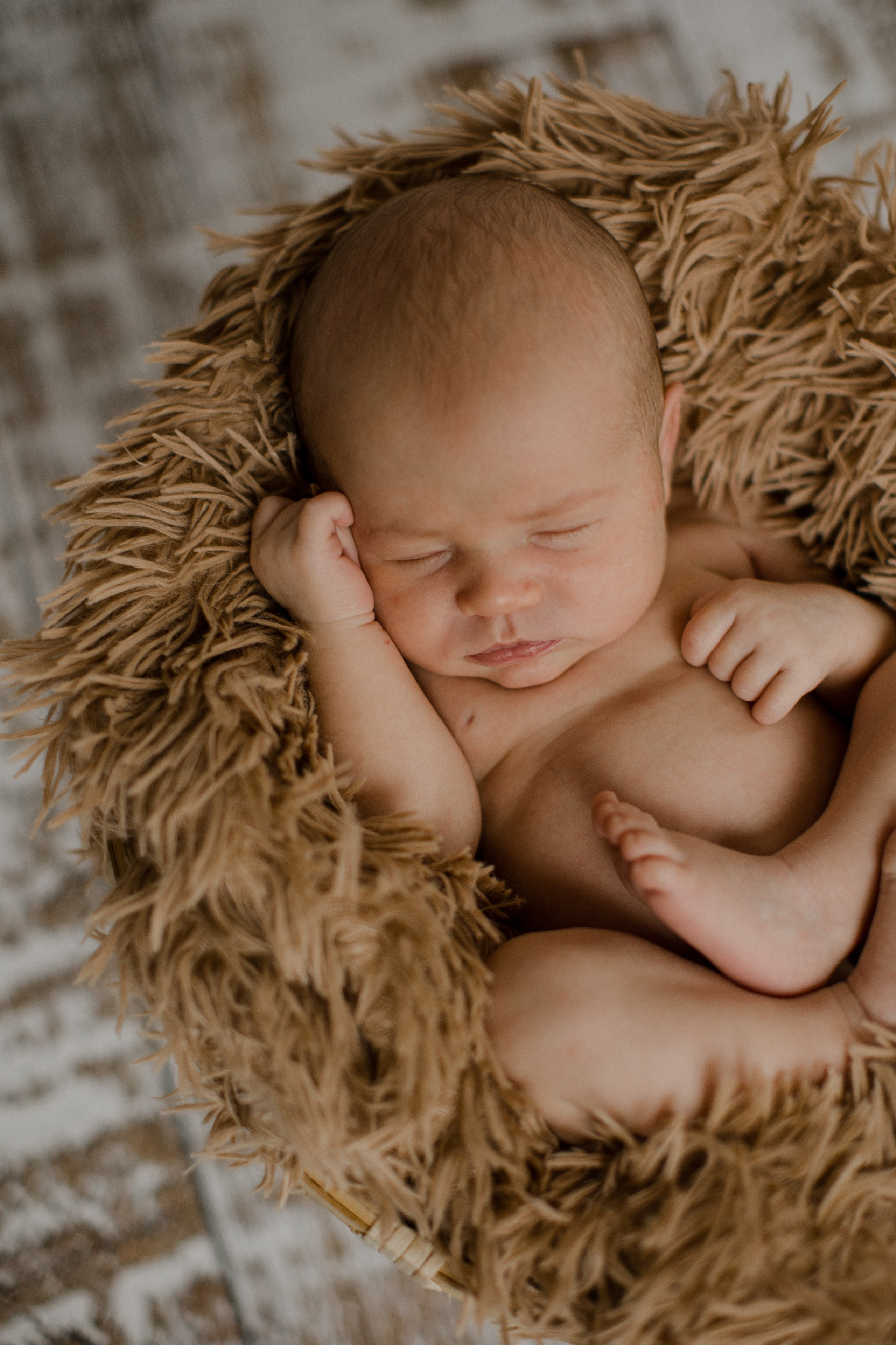 Рита с семьей. Семейный и детский фотограф в Москве Кузьмина Мария