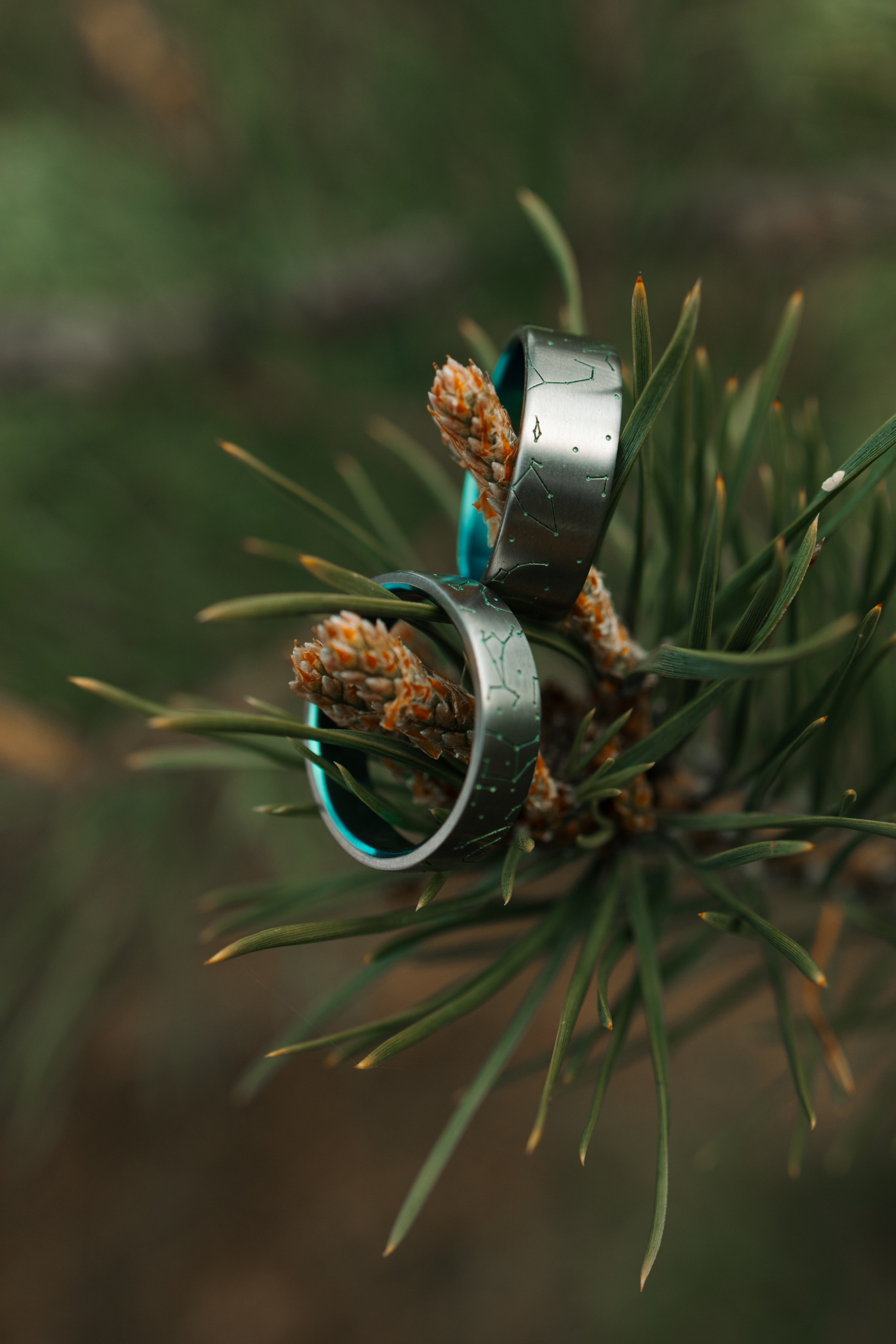 Свадебная фотосессия. Екатерина Пашкова, фотограф, видеограф в Томске