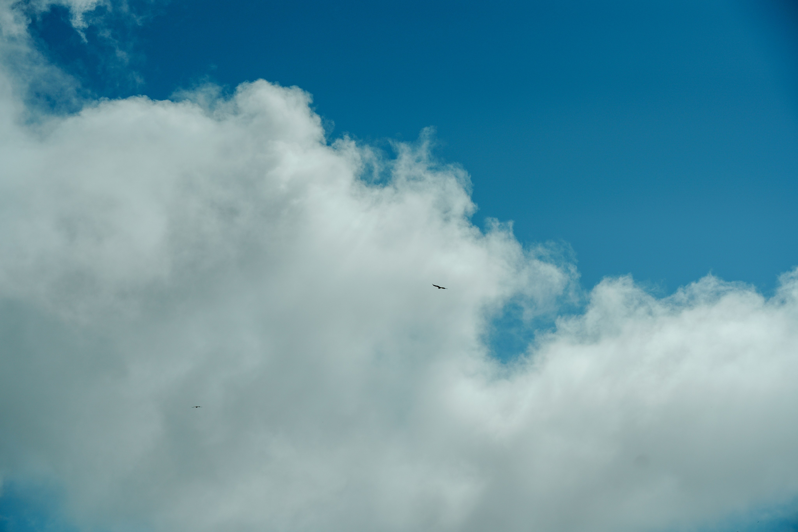 Фотограф на хайкинг в горы. Репортажный фотограф Москва Сергей Дружинин