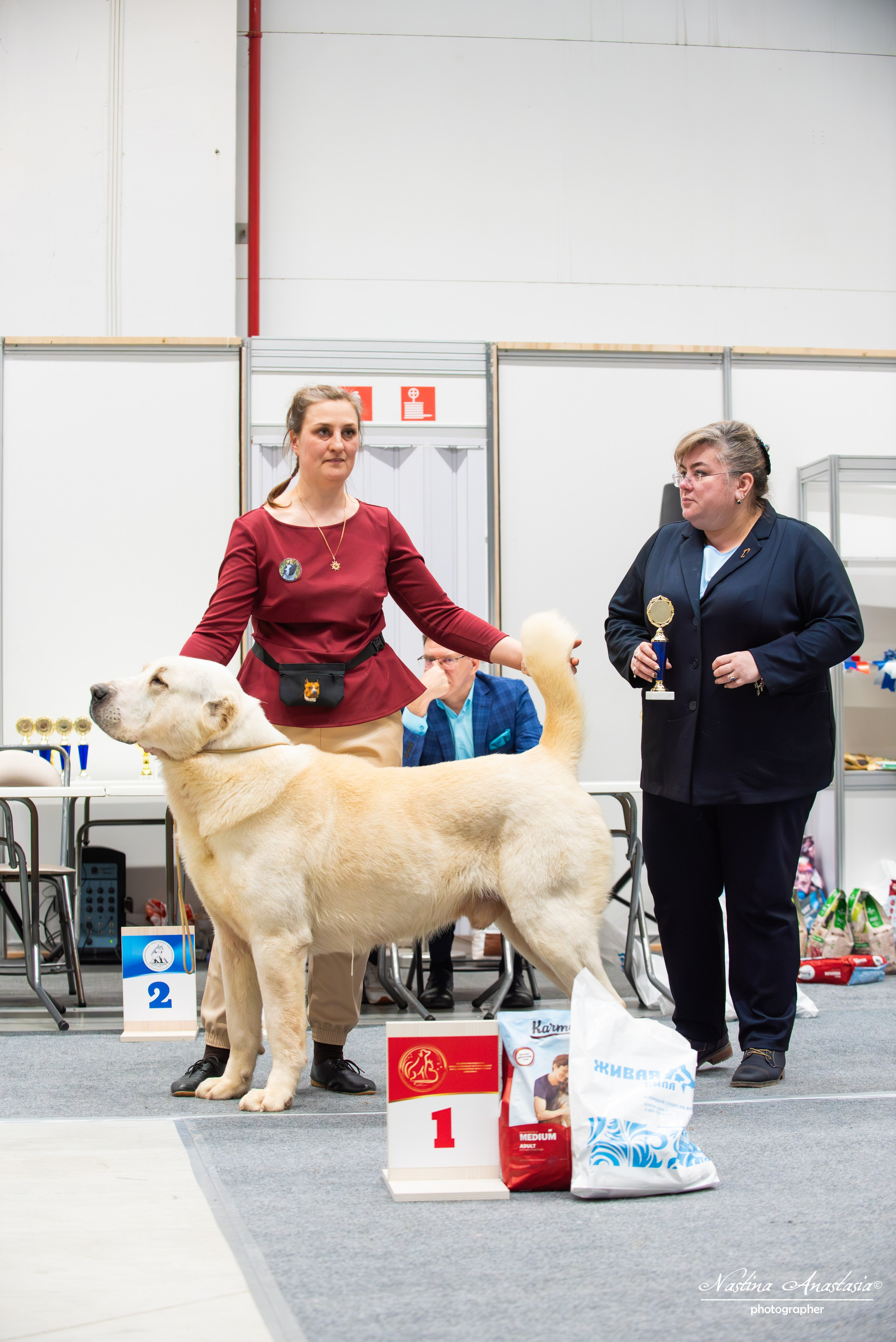 Выставки. Фотограф — Анималист