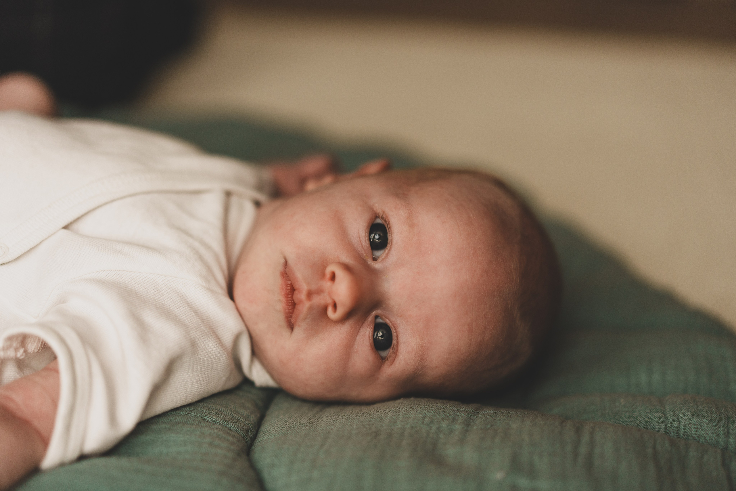Малютка Аглая с родителями. Семейный и детский фотограф и видеограф в Москве, Серпухове и Тарусе Валерия Сорокина