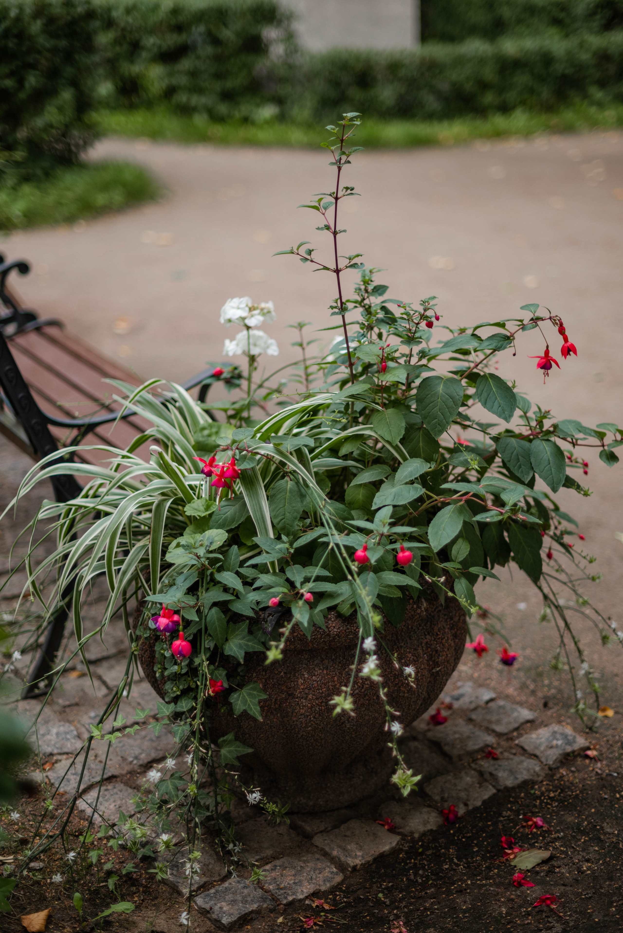 В Петербурге. Свадебный и семейный фотограф в Новосибирске, Санкт-Петербурге, Москве