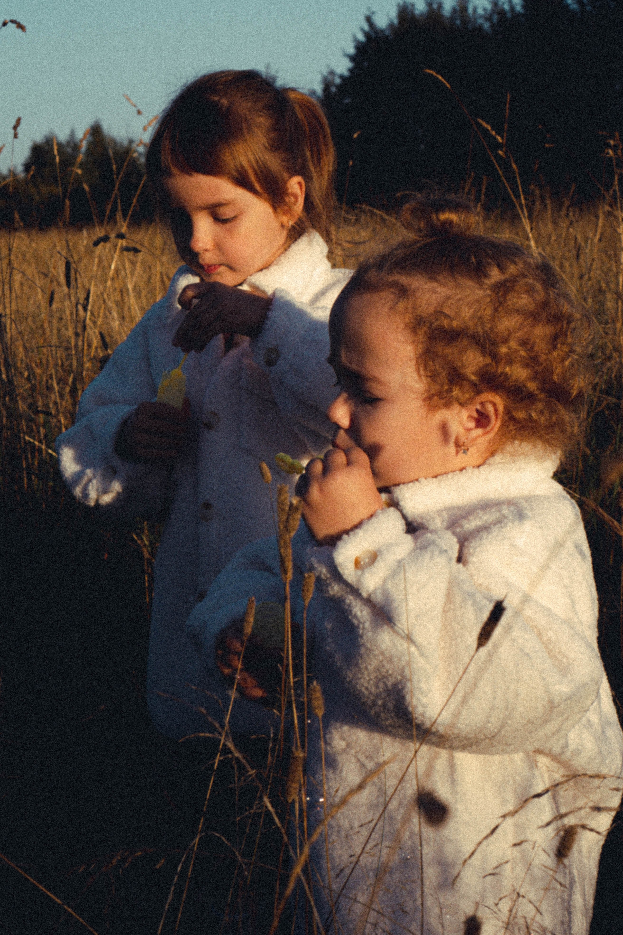 Семейная серия. Профессиональный фотограф, Санкт-Петербург — Виктория Богомолова
