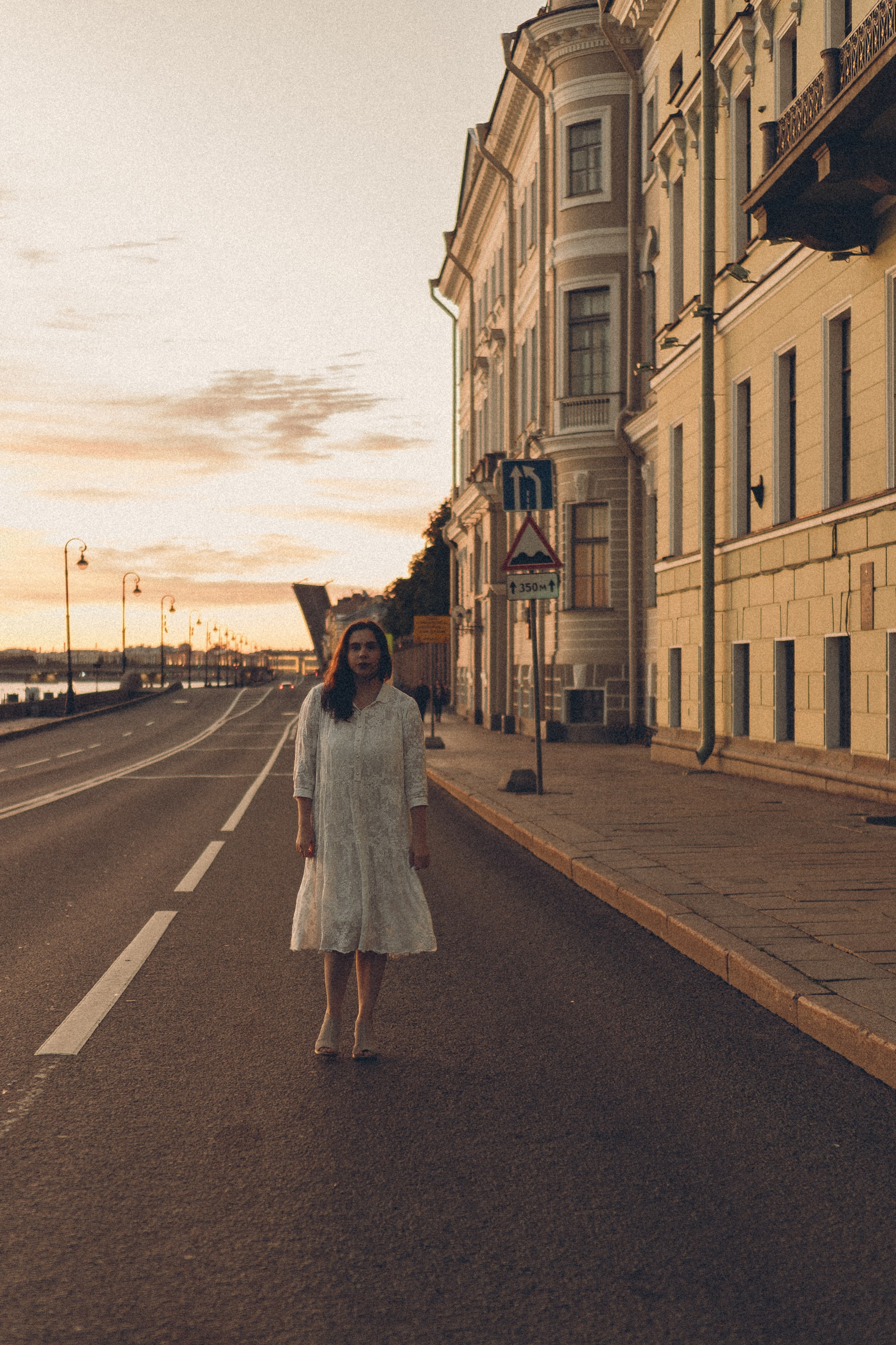 РАССВЕТ С РАЗВОДНЫМИ МОСТАМИ. Профессиональный фотограф, Санкт-Петербург — Виктория Богомолова