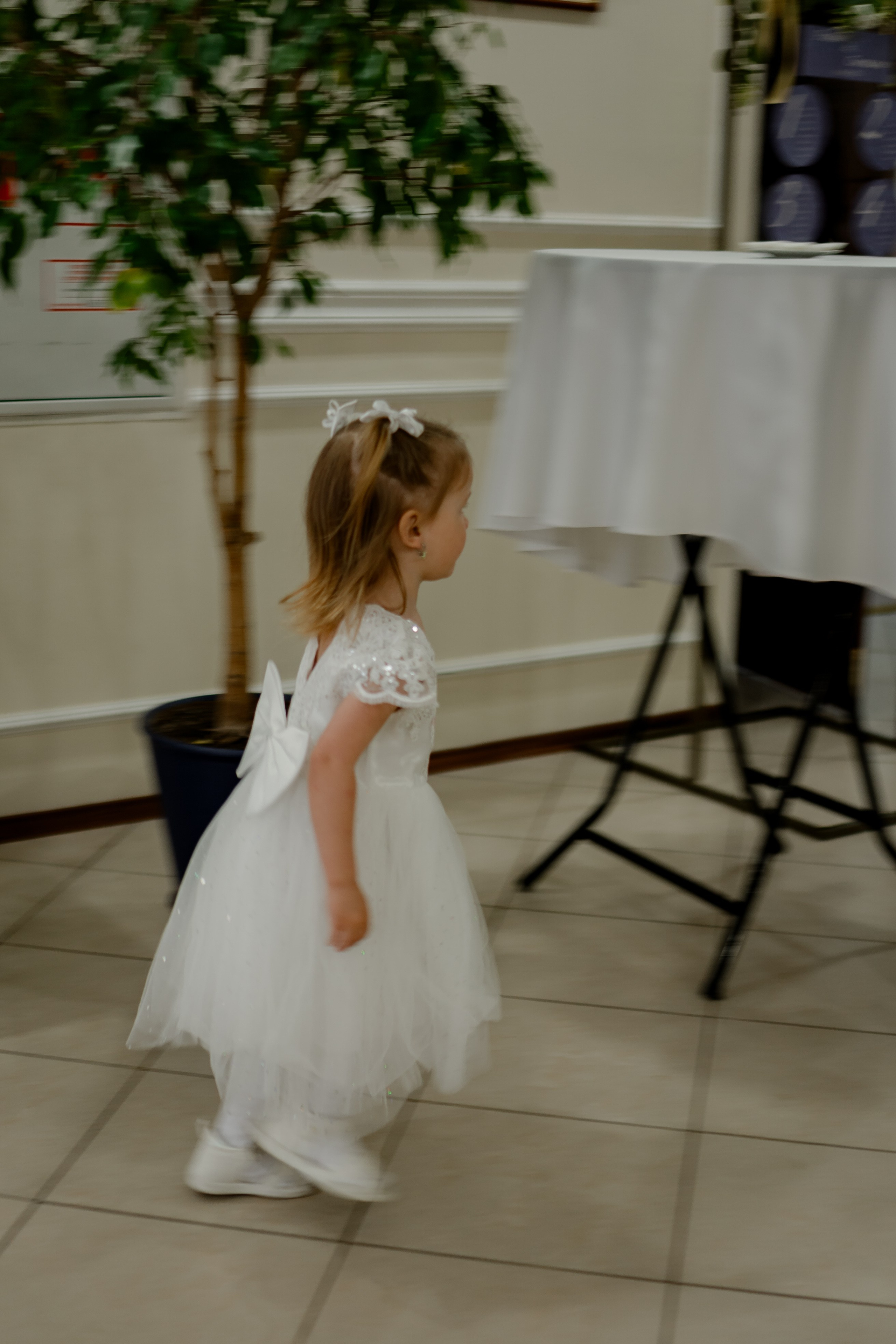 СВАДЕБНАЯ СЬЕМКА В ЗАГСЕ И БАНКЕТ. Профессиональный фотограф, Санкт-Петербург — Виктория Богомолова