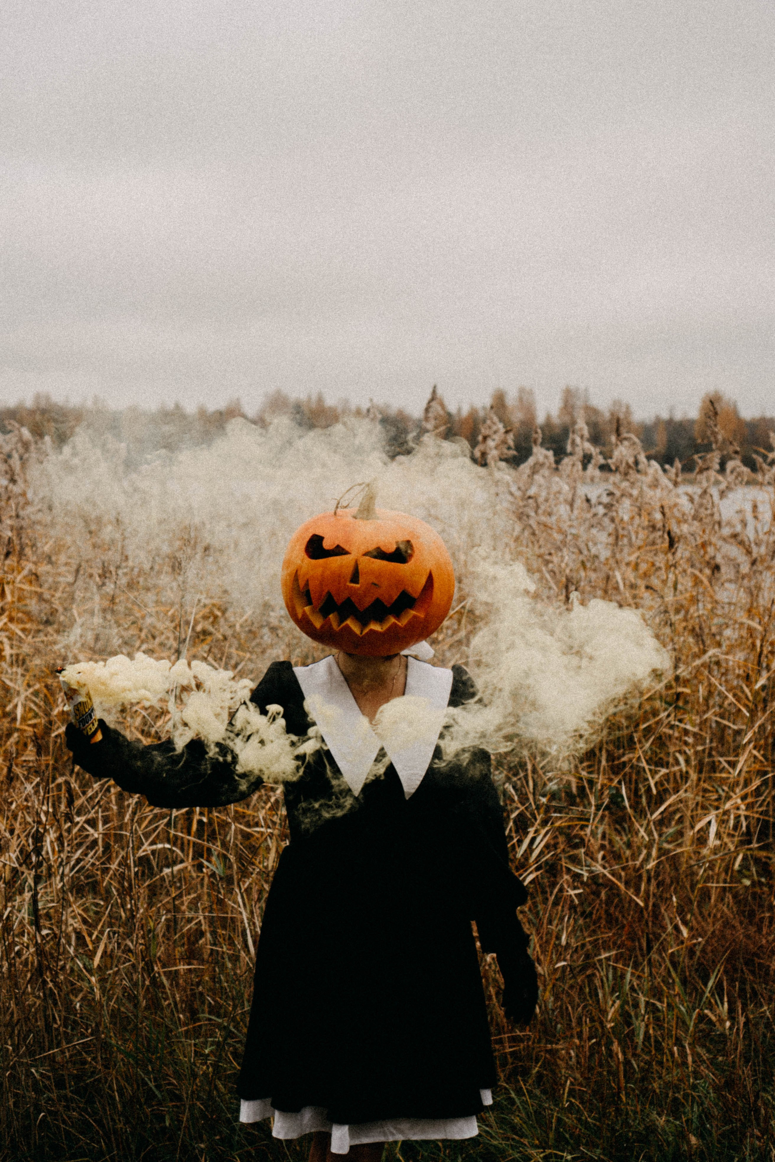 Осеняя. Профессиональный фотограф, Санкт-Петербург — Виктория Богомолова