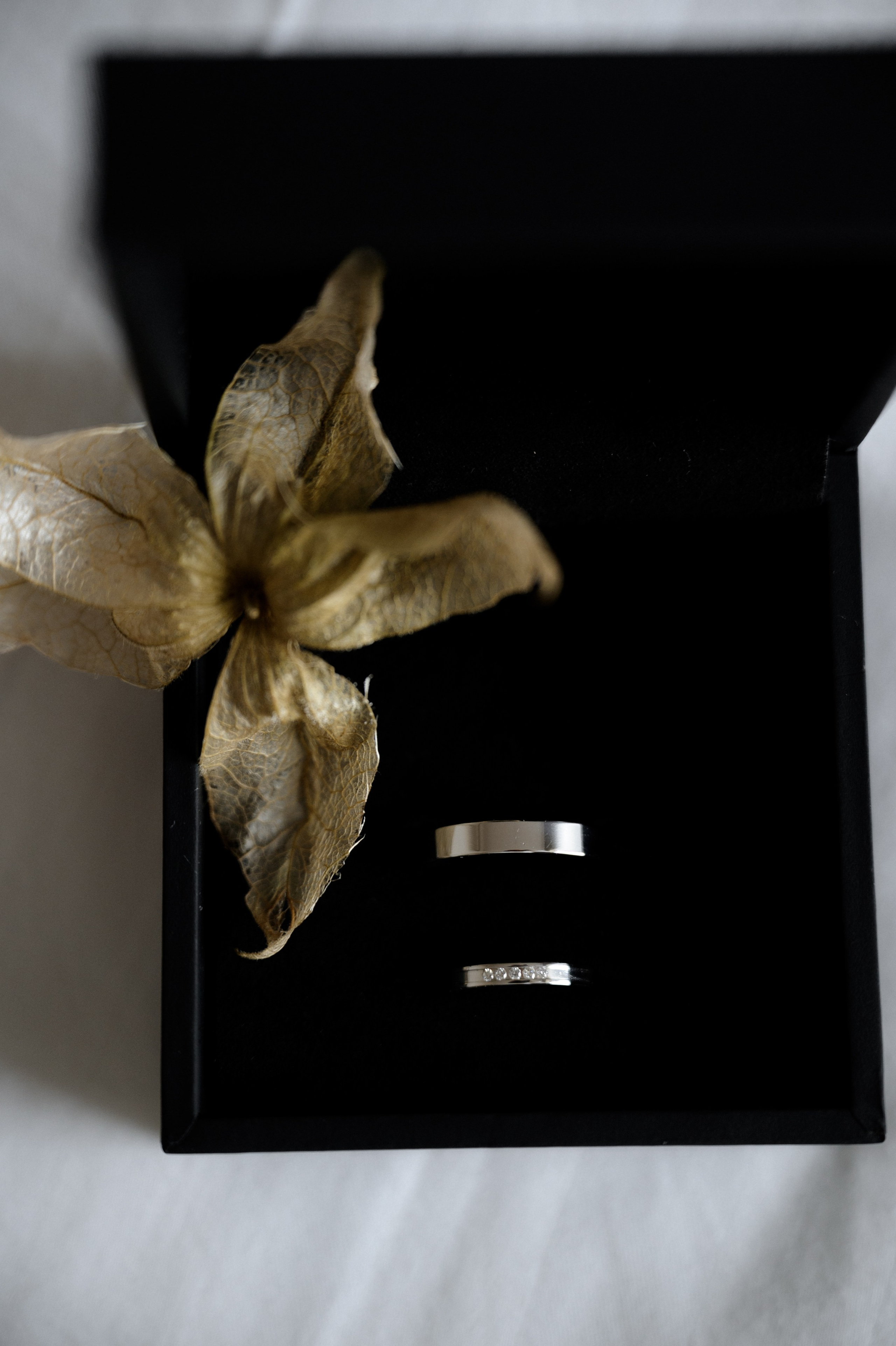 04.09.2024. RETOUCH-HOUSE