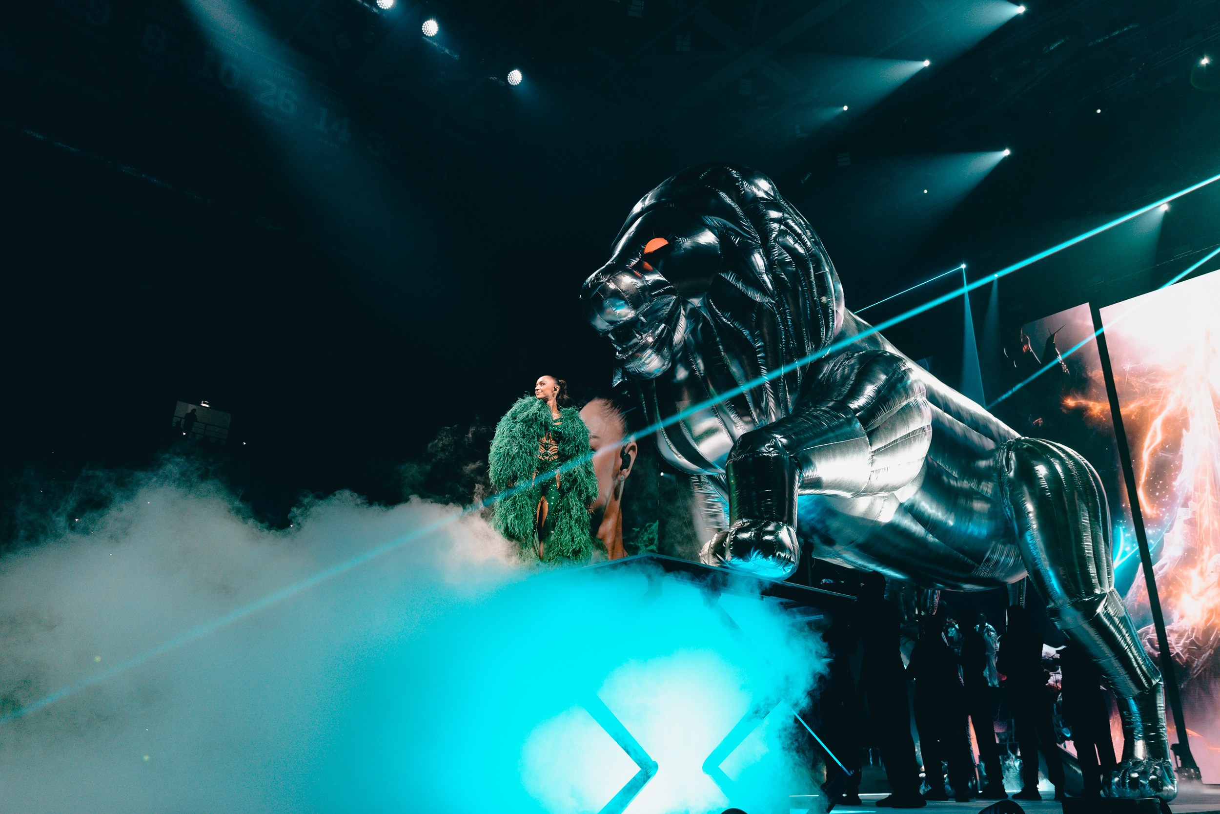 Мари Краймбрери. Магия музыки в кадре: Концертная Фотография