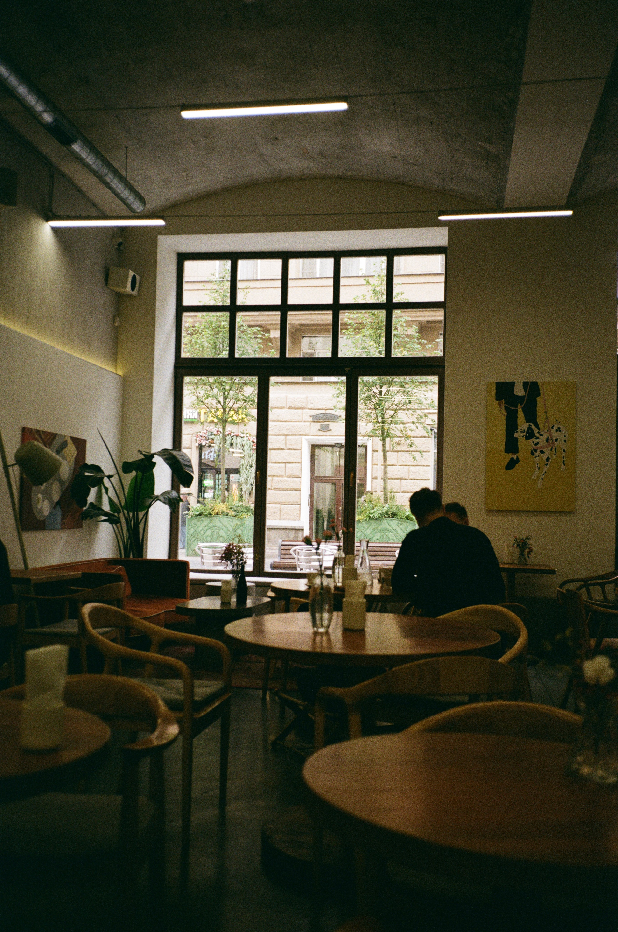 Grain. Artem Khusainov