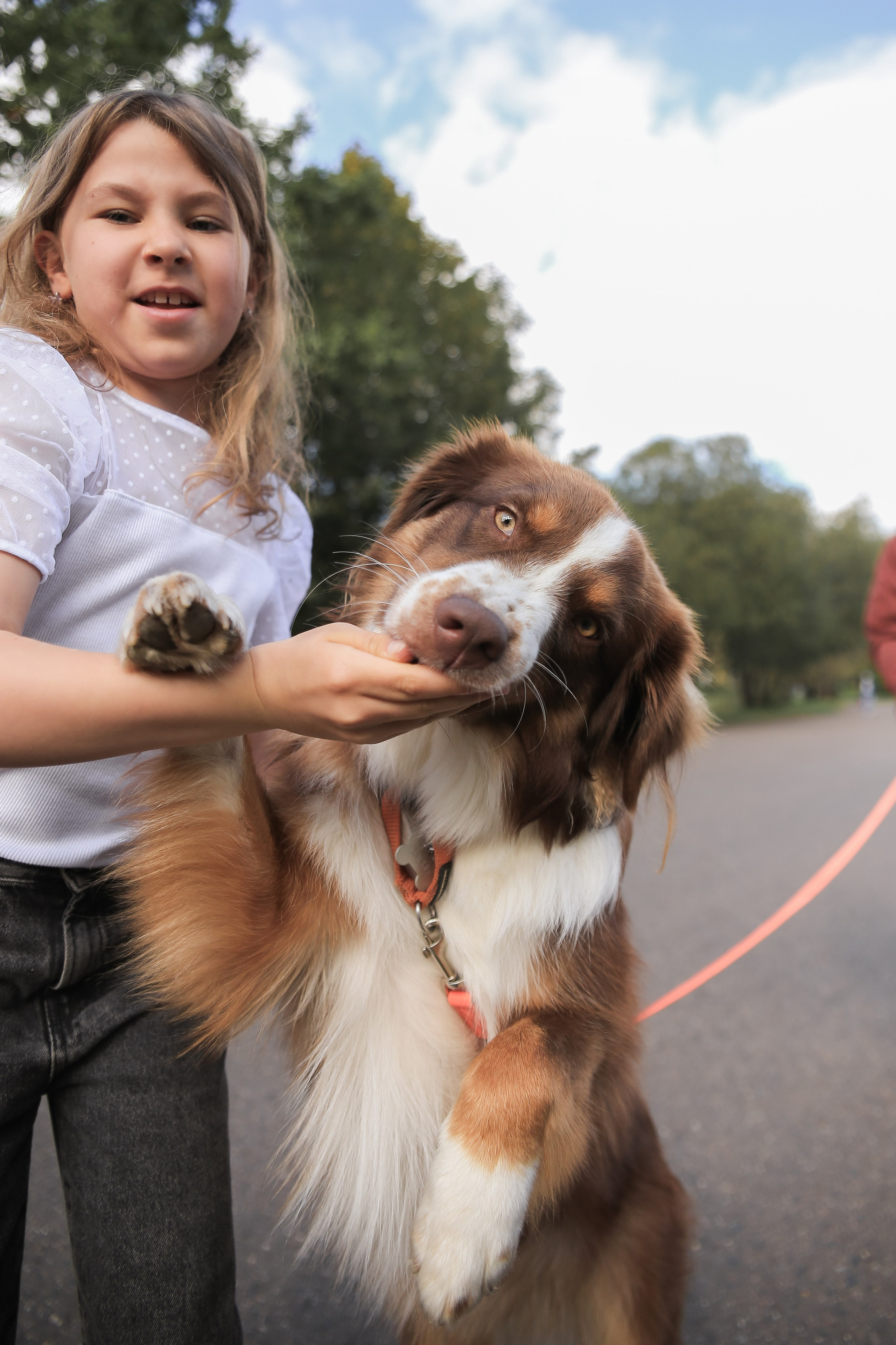 Семейная осенняя прогулка. Антонина Морозова, профессиональный семейный фотограф видеограф