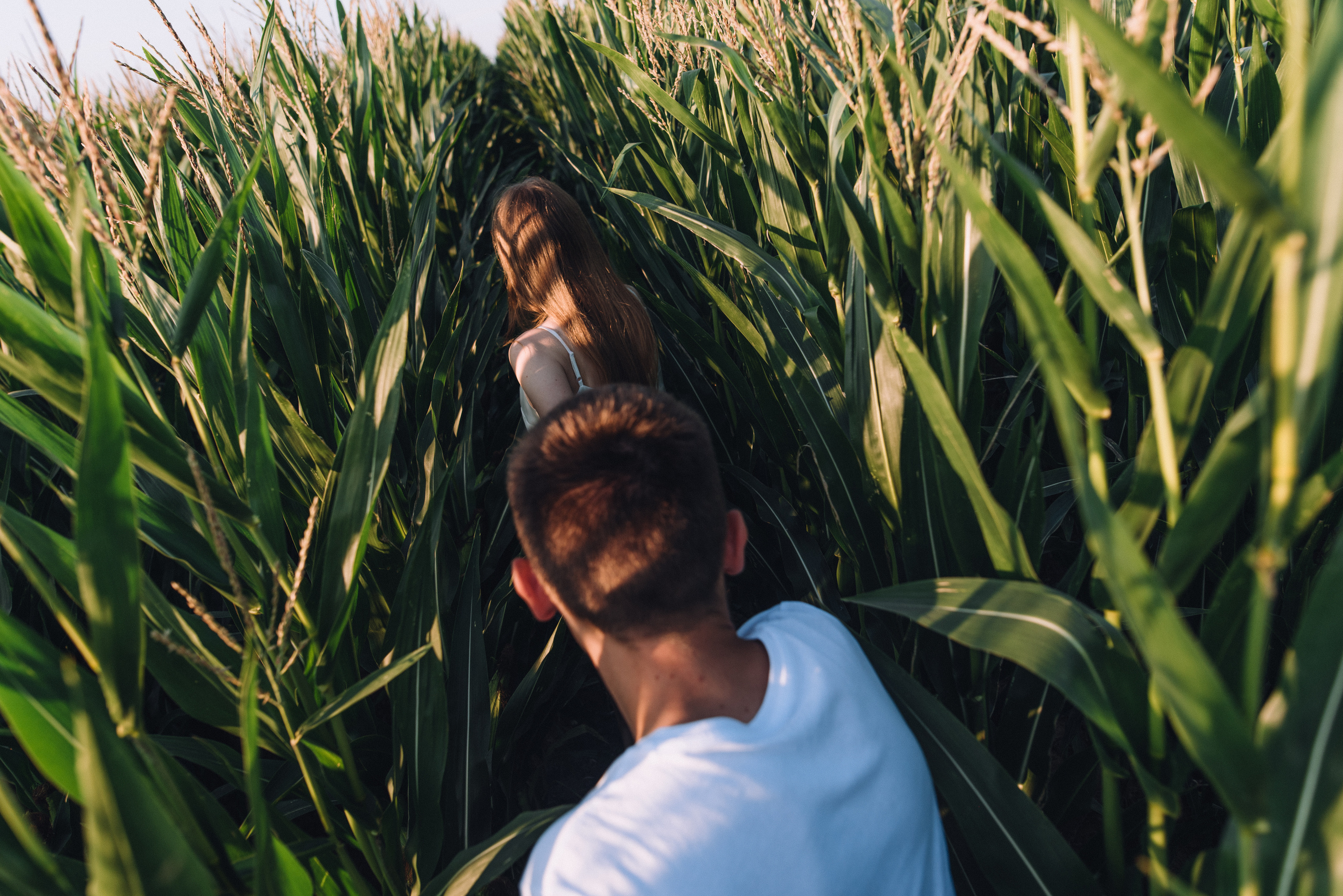 Lesia & Jenia. Wedding photograph in europe Vasencev Alexey