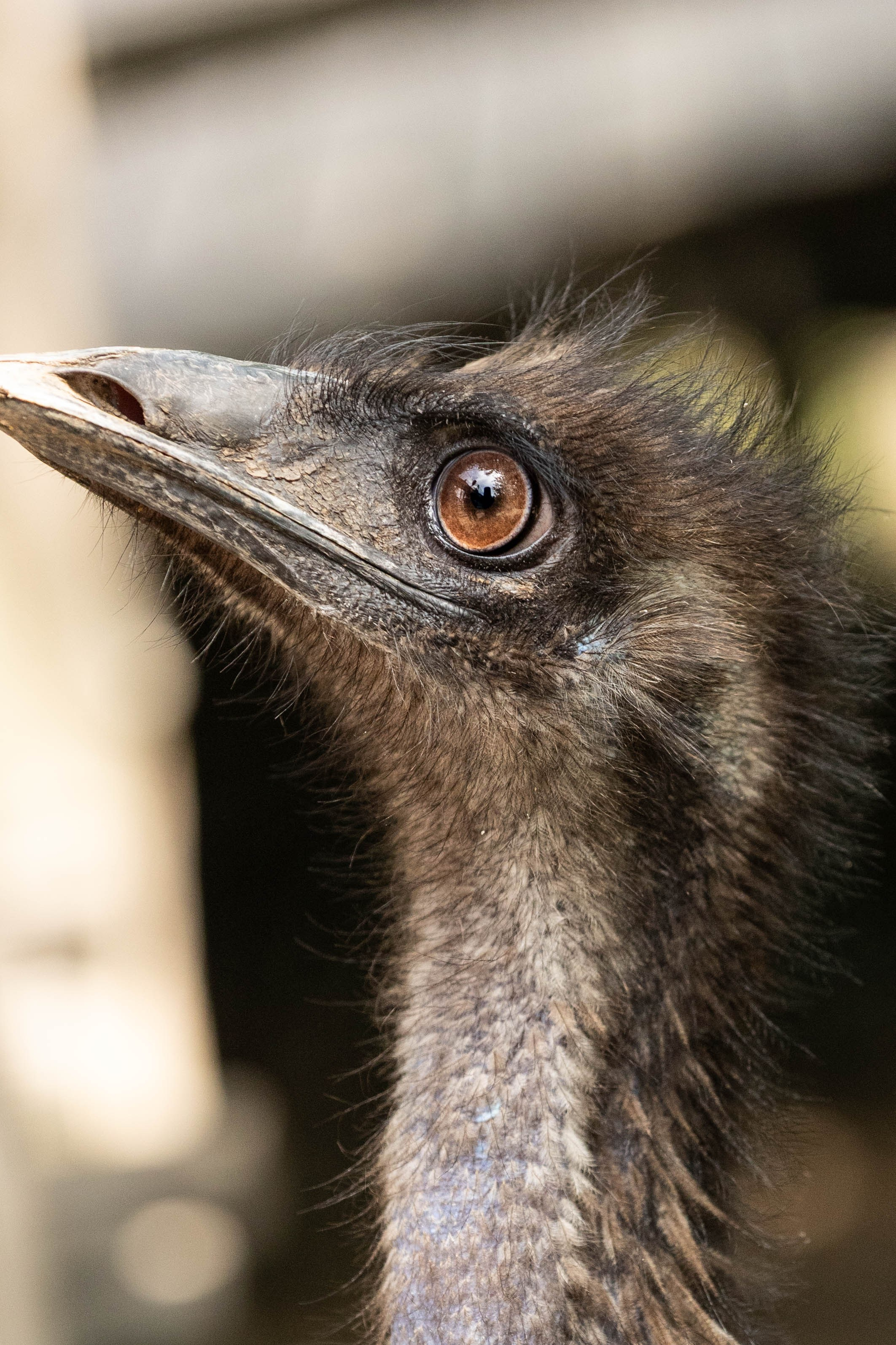 Зоопарк Малинки. Фотограф-АниМалист Анна Абрамова