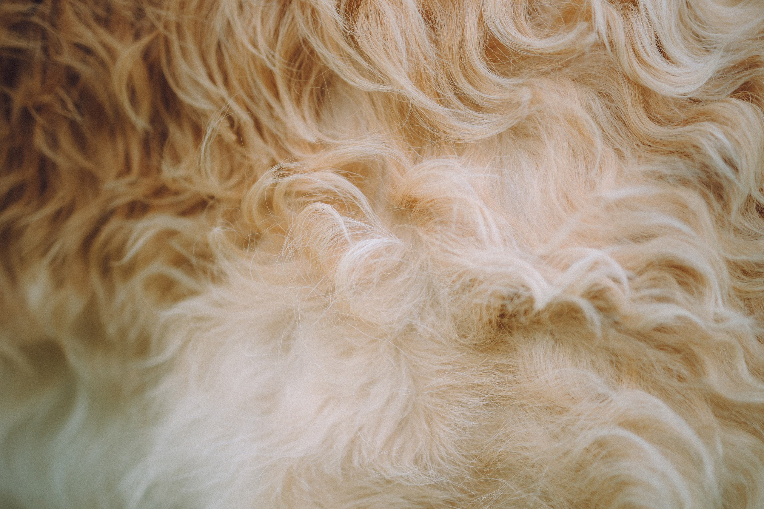 Илай, Зайка и их семья