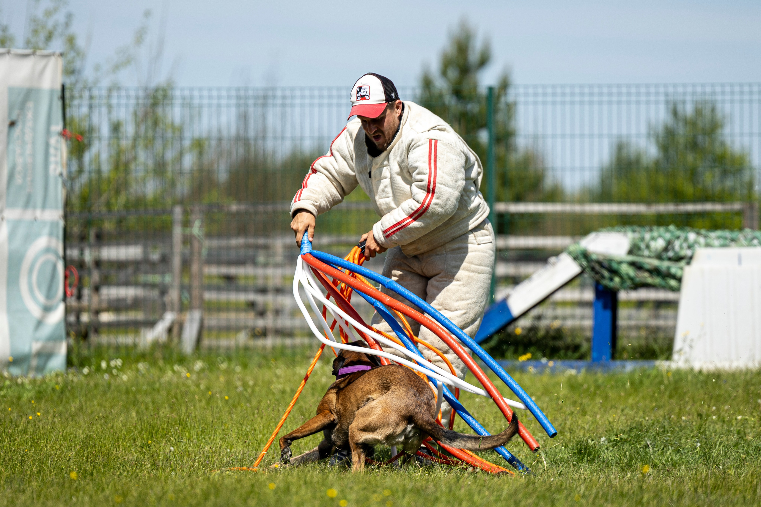 Испытания по мондьорингу в Нижнем Новгороде. Фотограф-анималист Анна Маринич